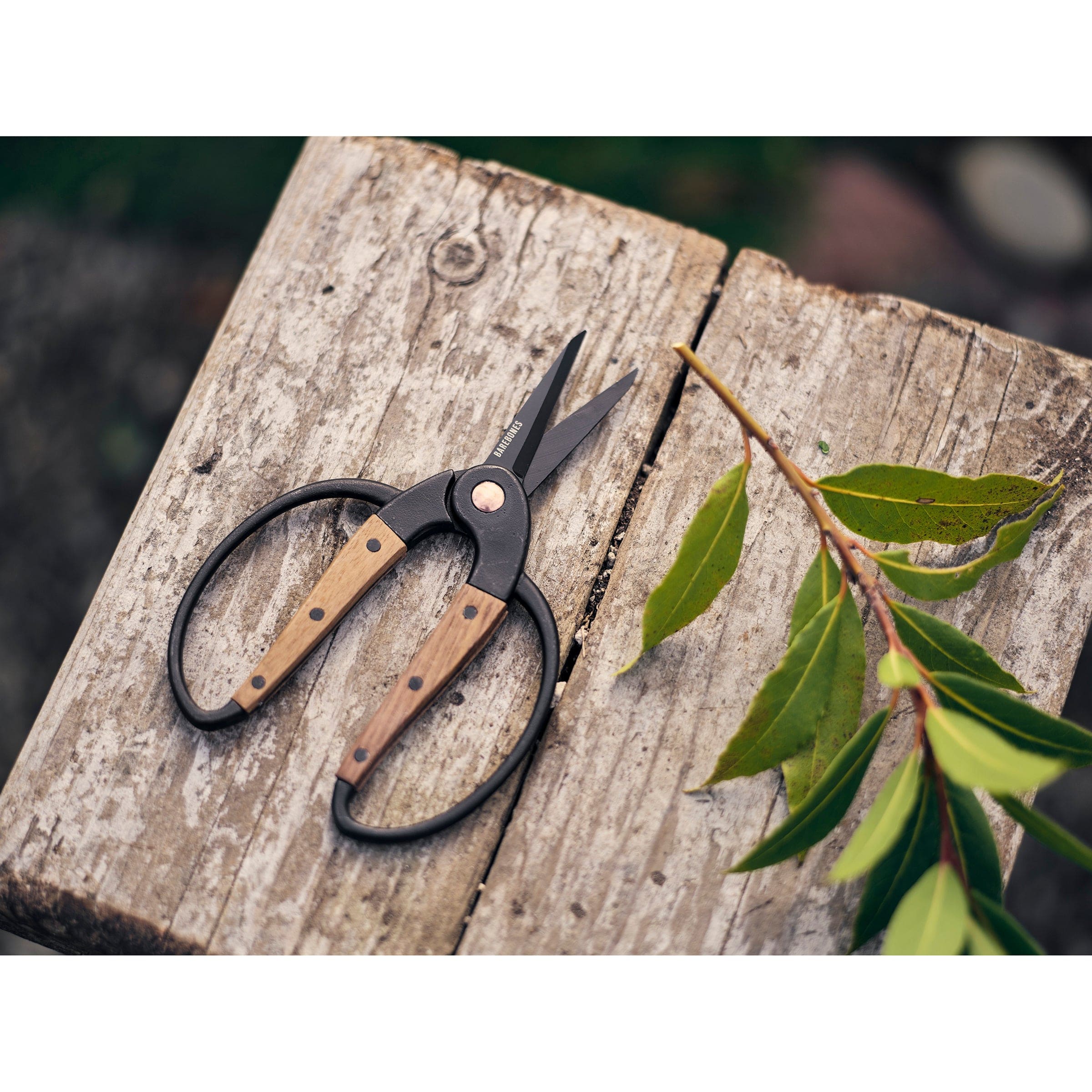Garden Scissors Small - Image 4
