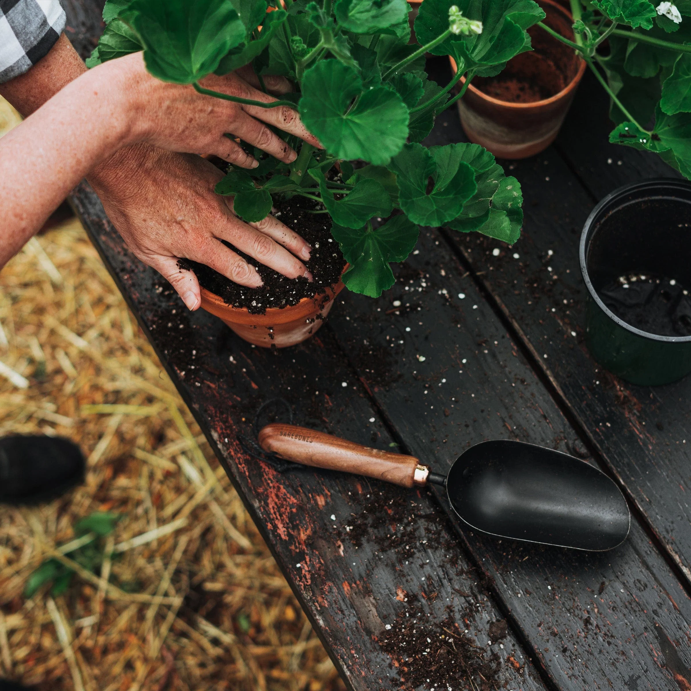 Garden Scoop - Image 6