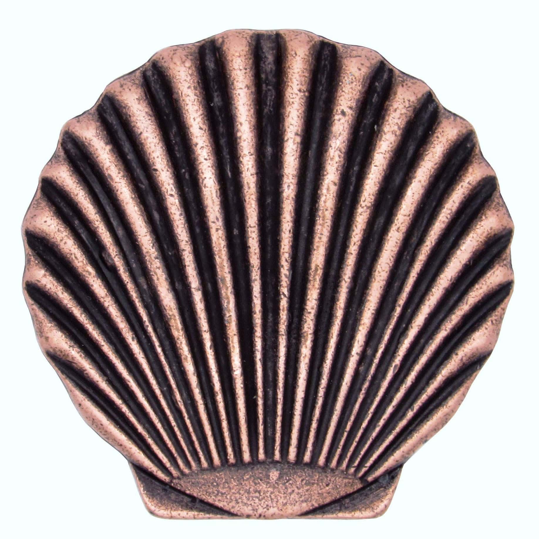 Scallop Seashell Knob, Copper Oxide