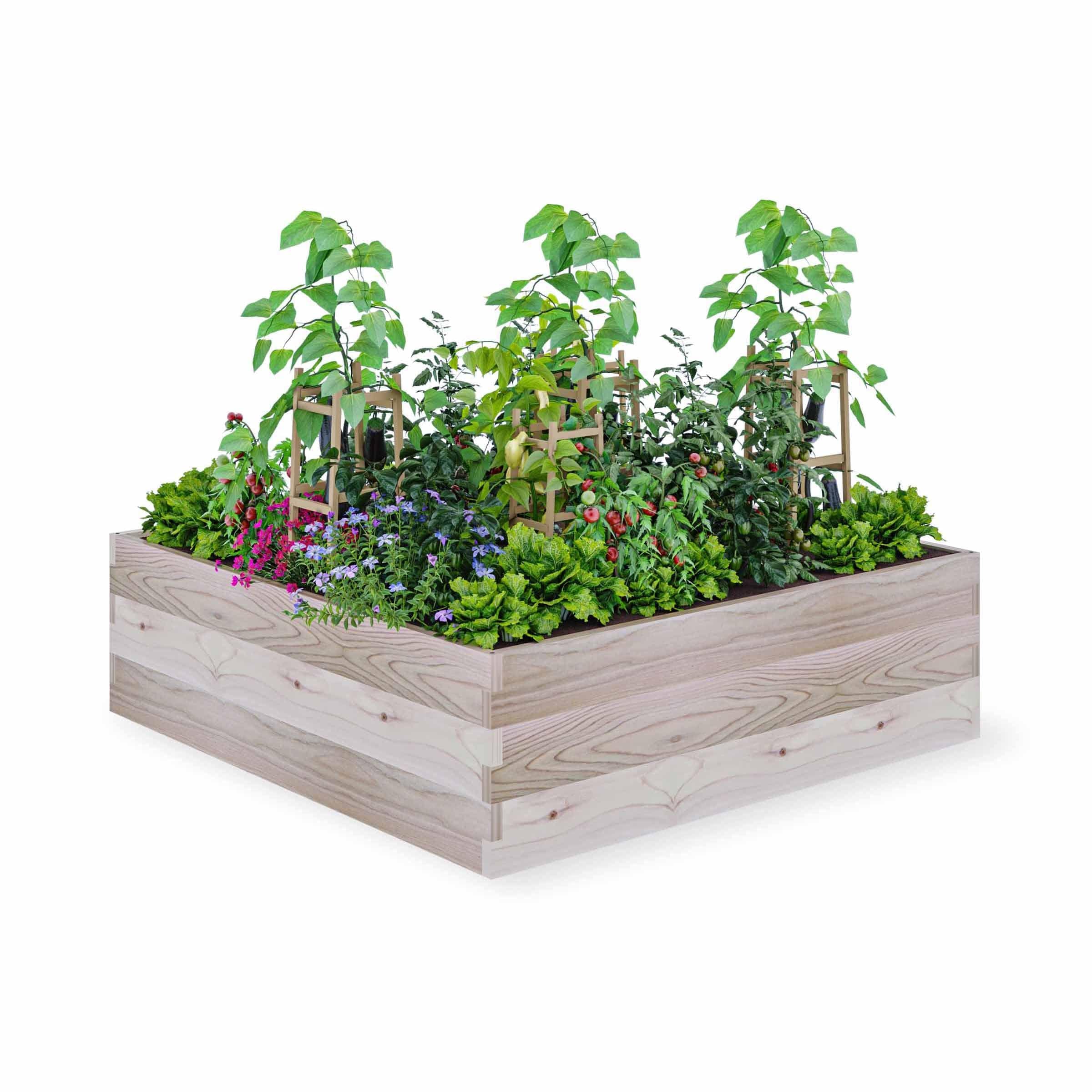 Cedar Raised Garden Bed 36" x 36" x 10-1/2"H - Image 3