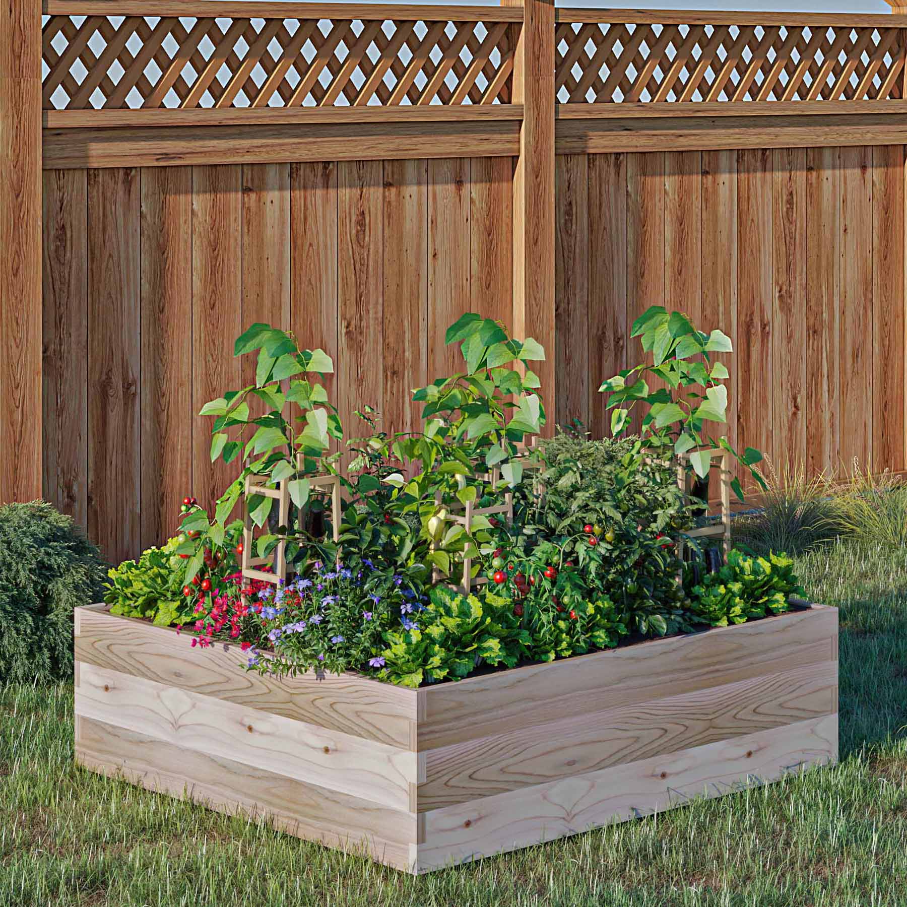 Cedar Raised Garden Bed 36" x 36" x 10-1/2"H - Image 4