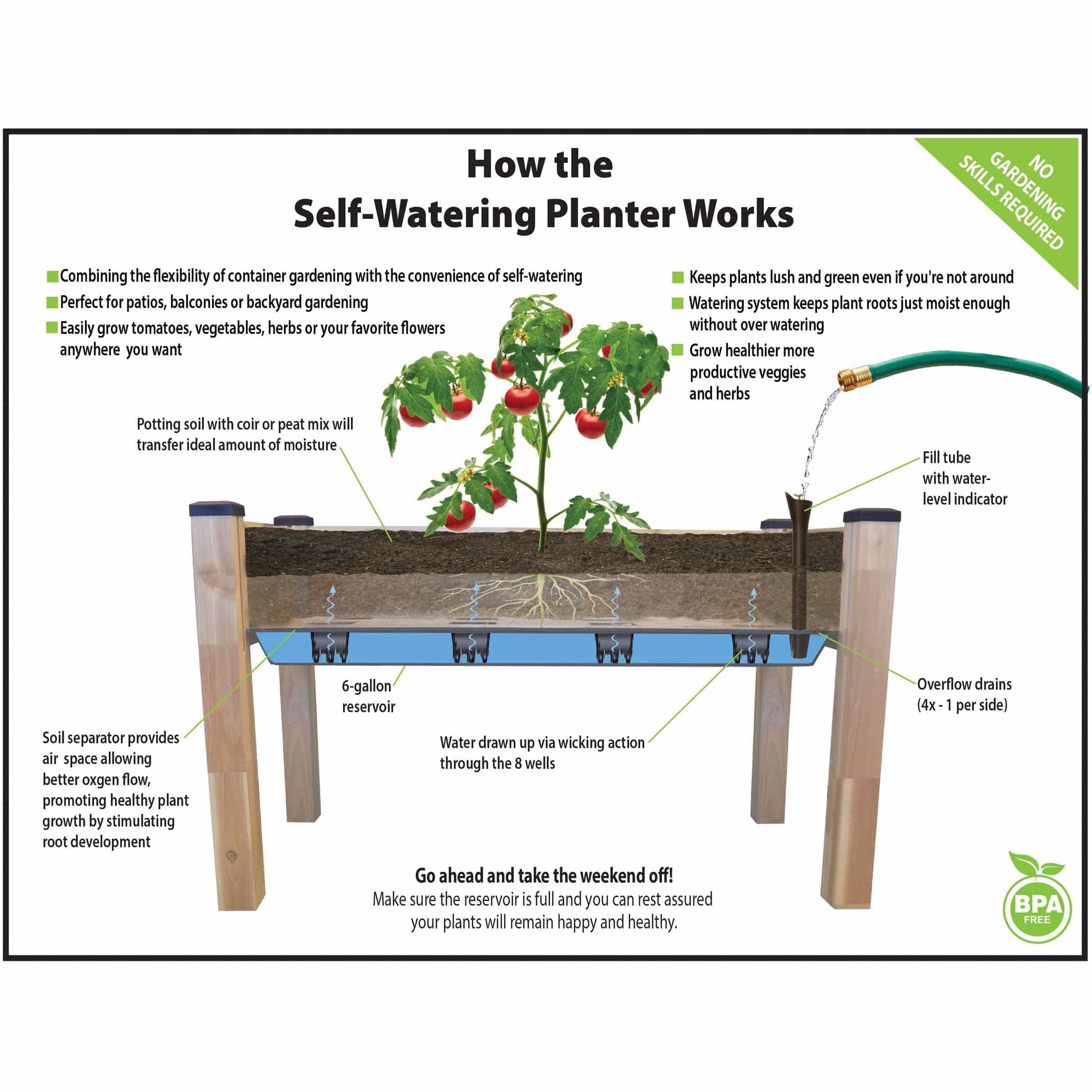 Self-Watering Elevated Cedar Planter 23” x 49” x 30" H - Image 2