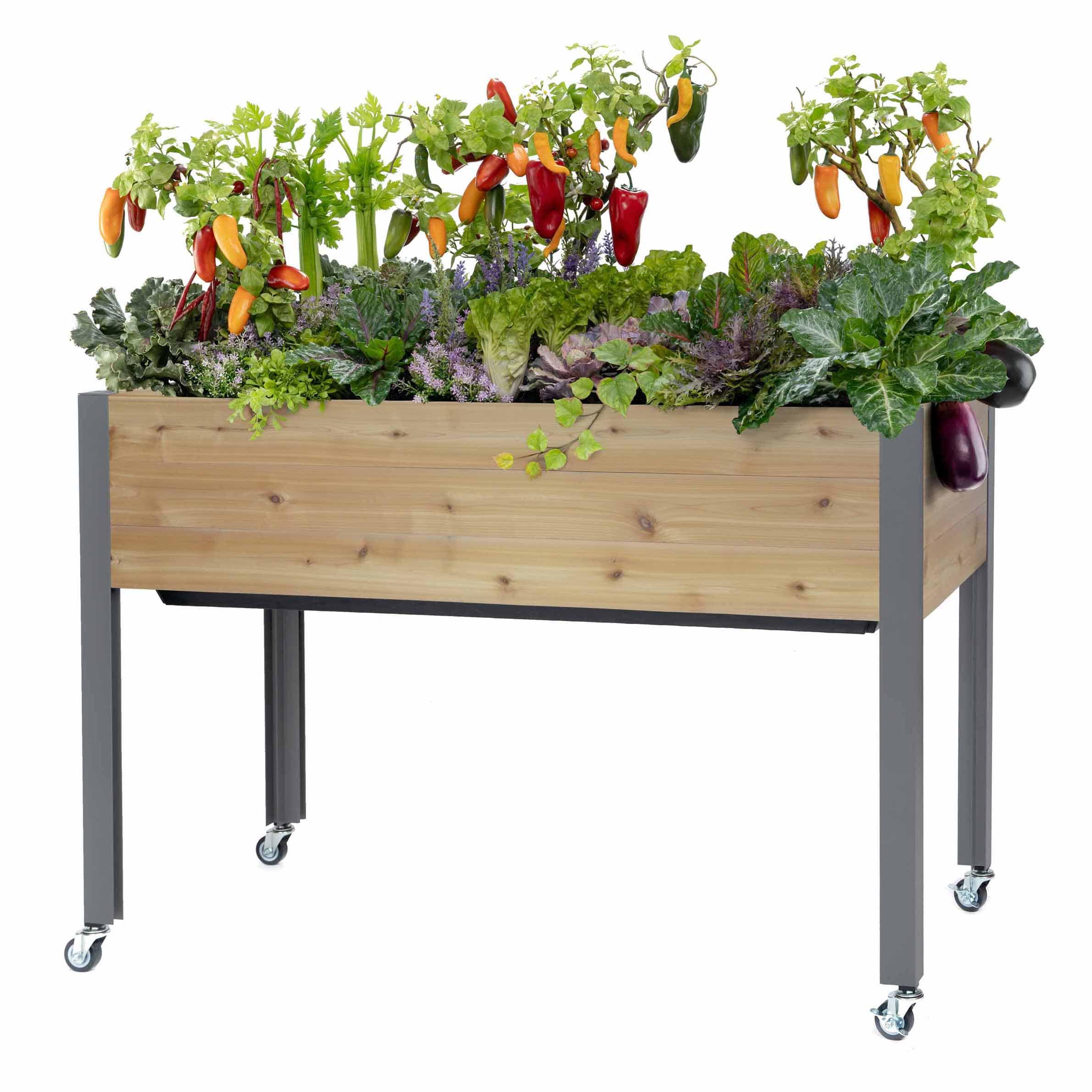 Self-Watering Elevated Planter 21" x 47" x 32"H Cedar - Image 5