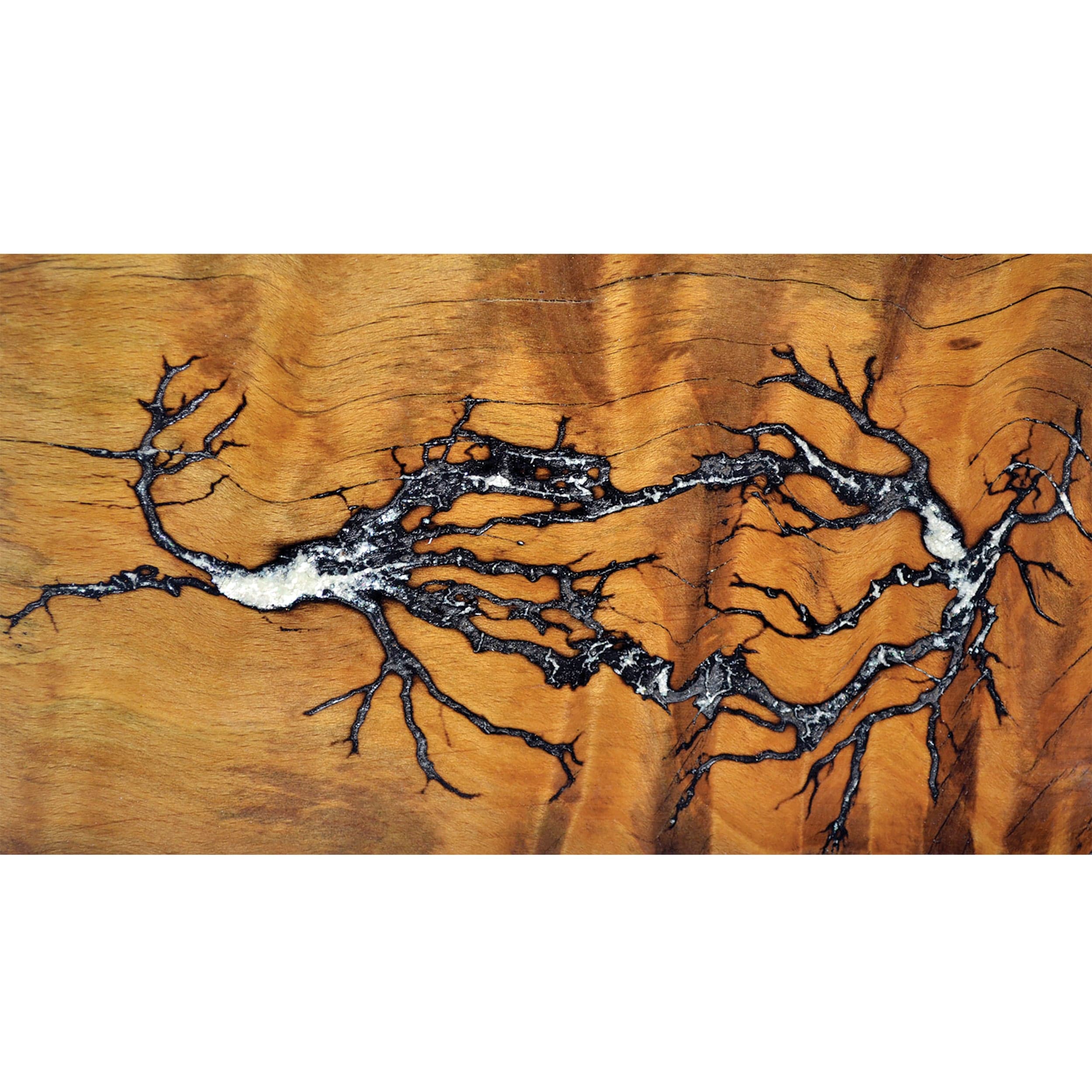 Mother of Pearl Inlay Material - Flake - 1 oz - Image 5