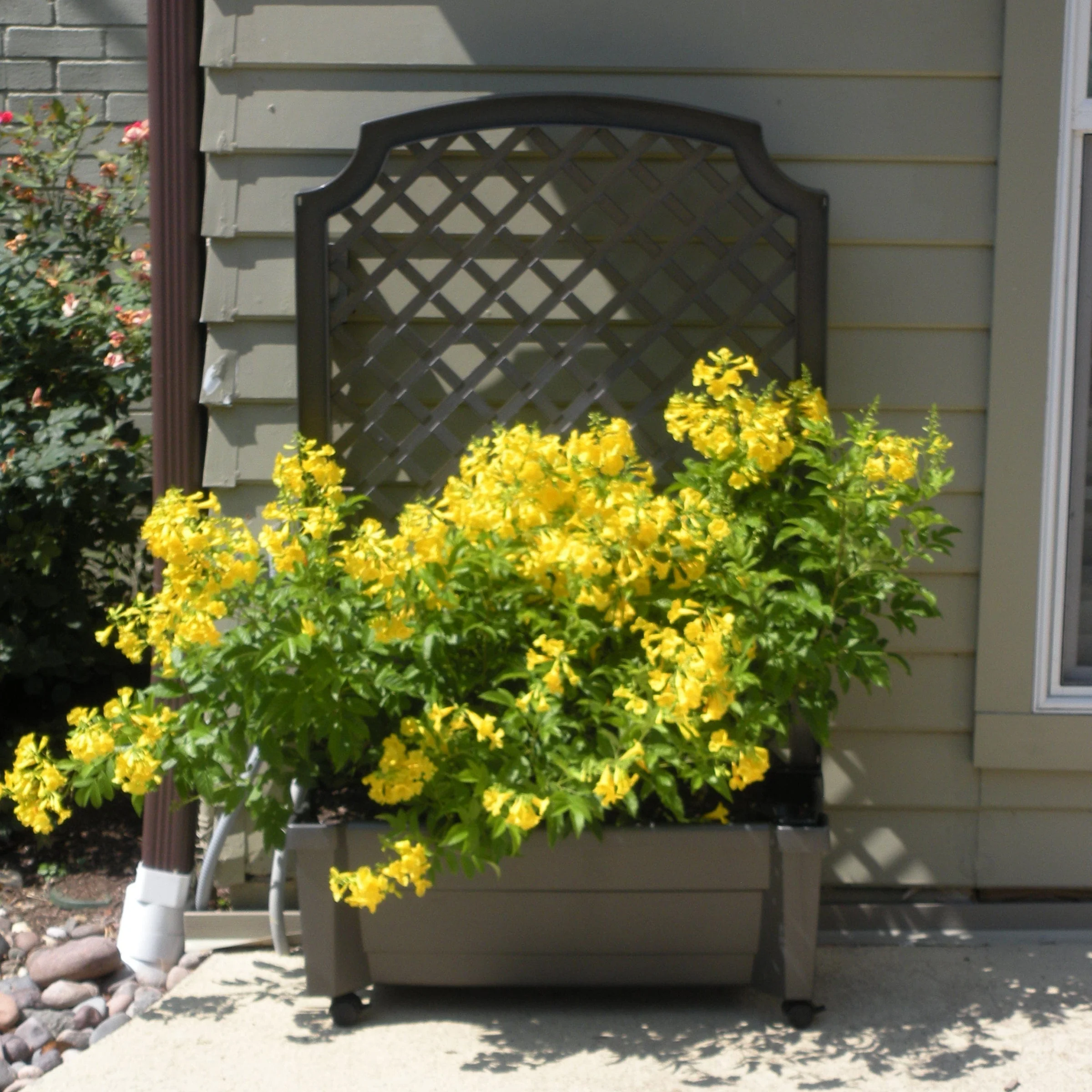Calypso Planter Trellis Anthracite Gray - Image 8
