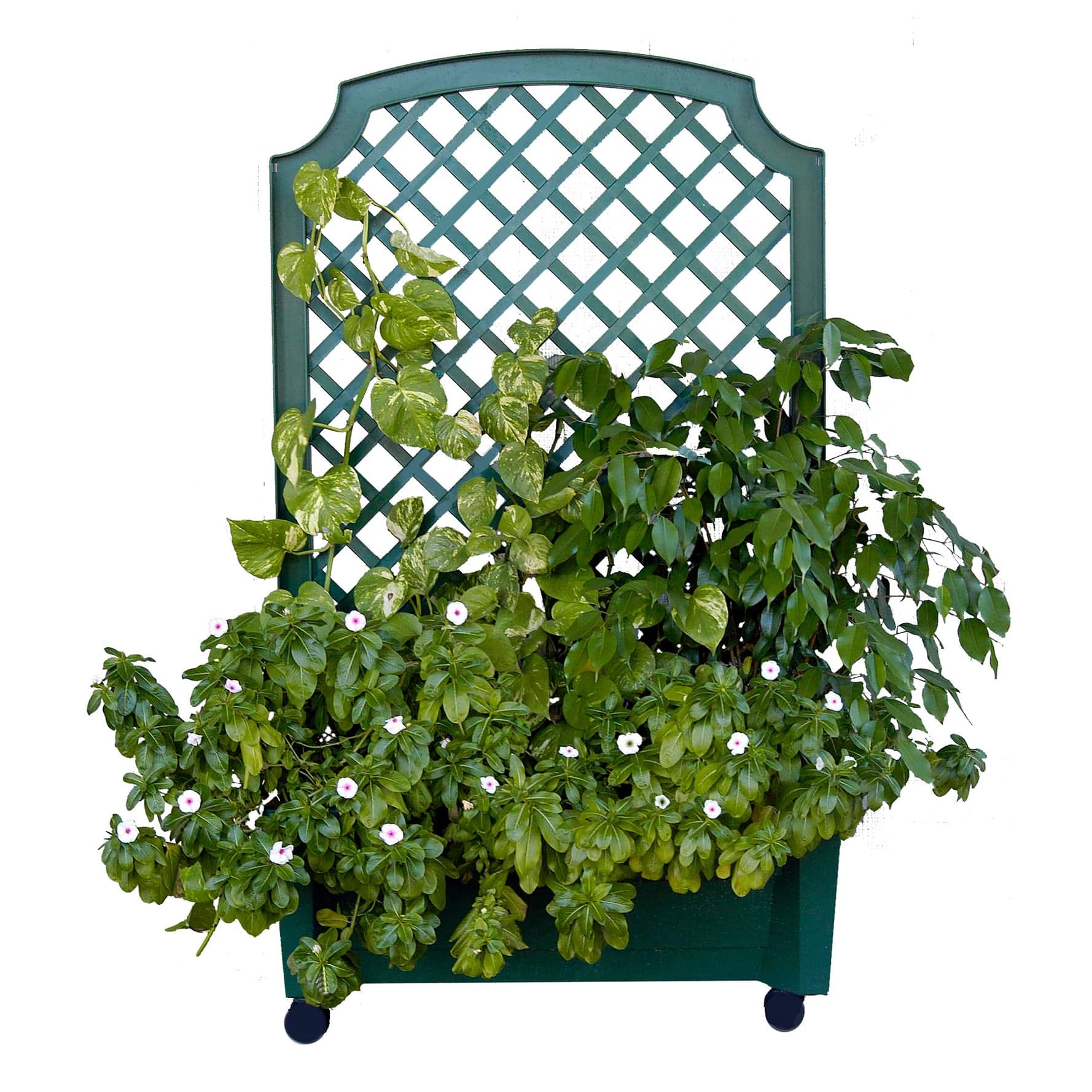 Calypso Planter Trellis Green - Image 3