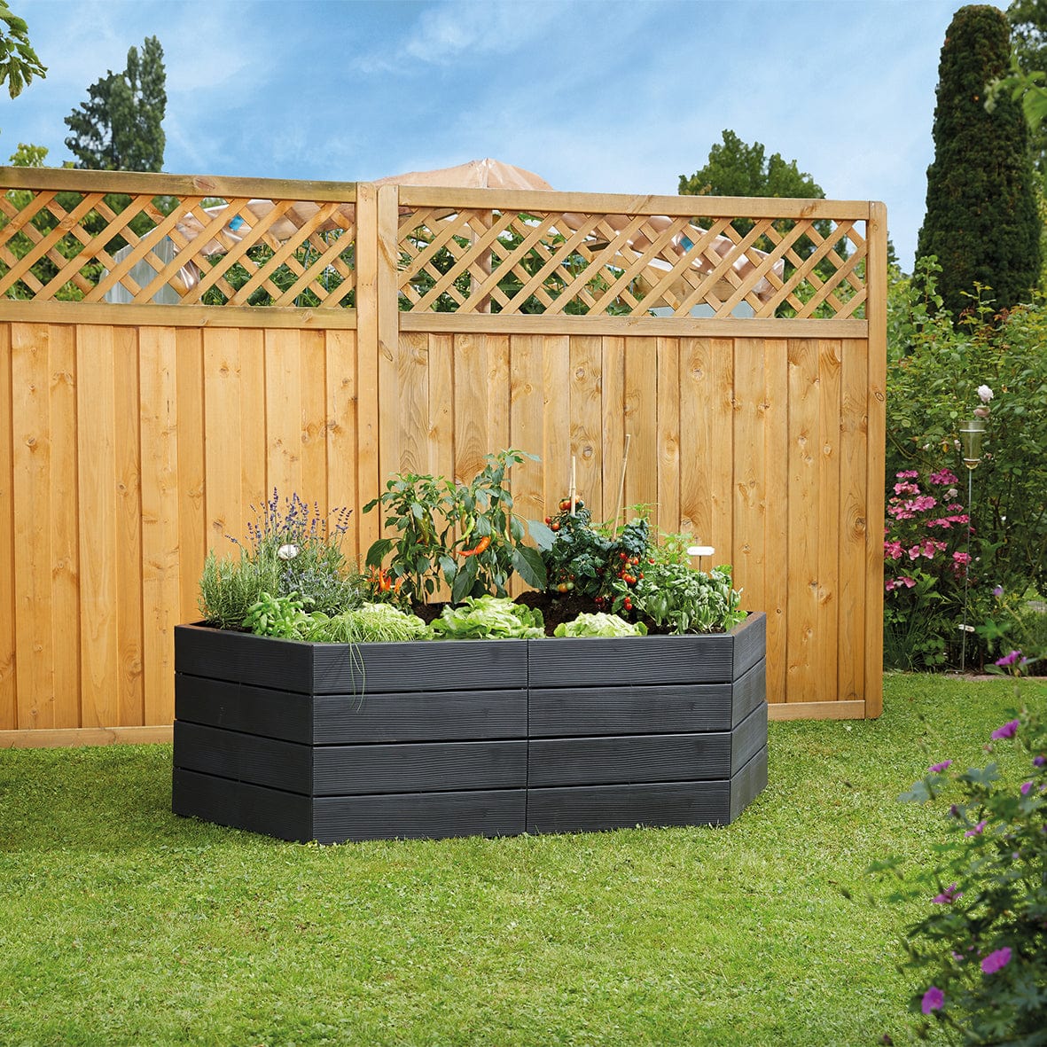 ERGO Modular Raised Bed Extension for Hexagon - Single Unit - Basic Set - Image 2