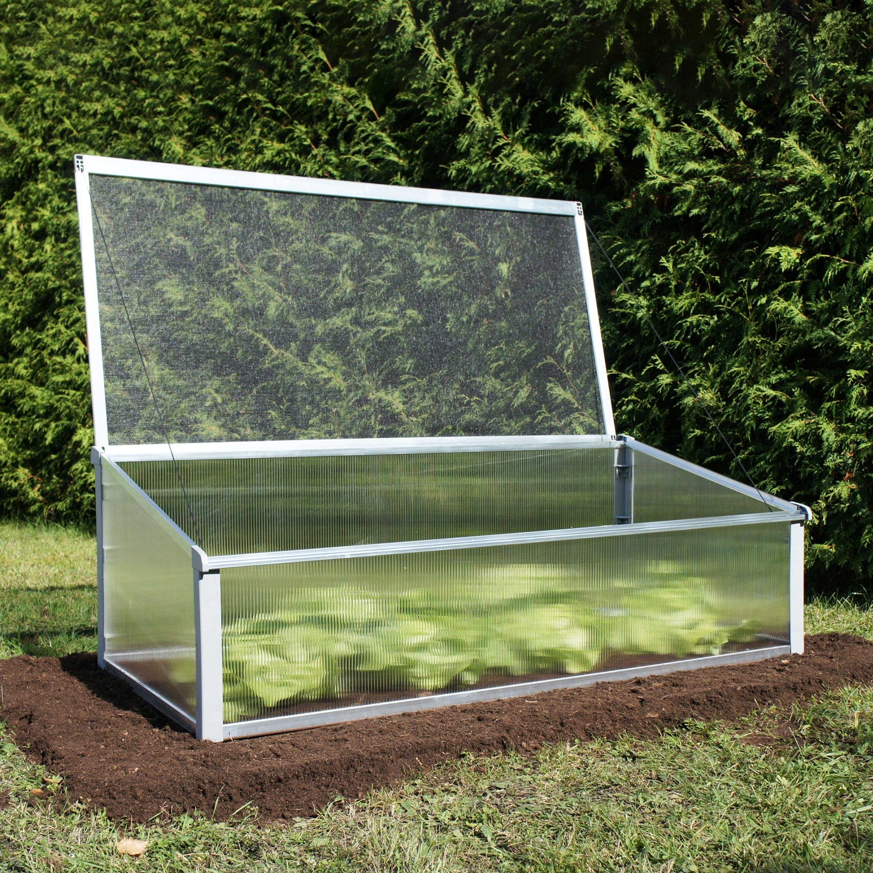 Year-Round Cold-Frame - Image 2