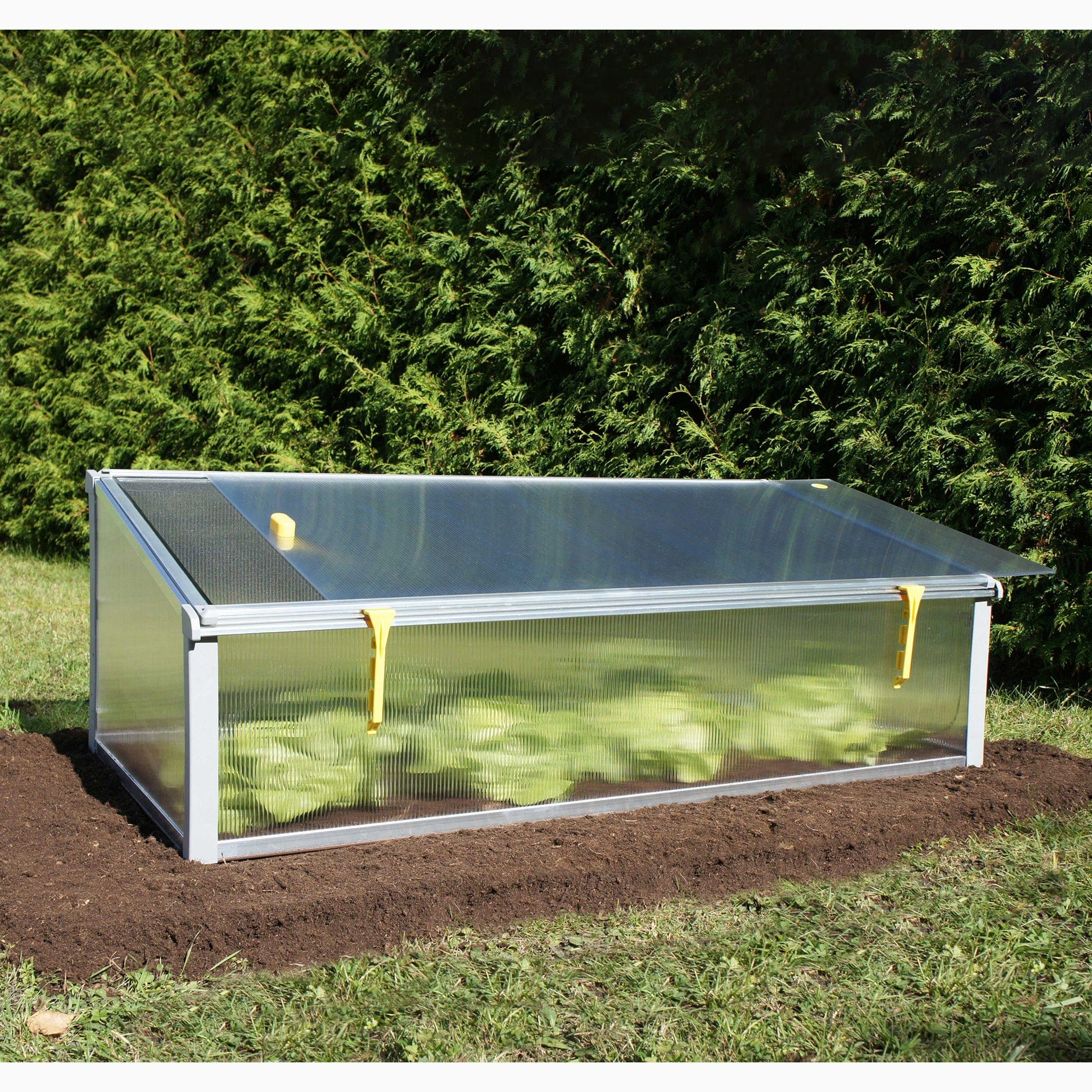 Year-Round Cold-Frame - Image 3