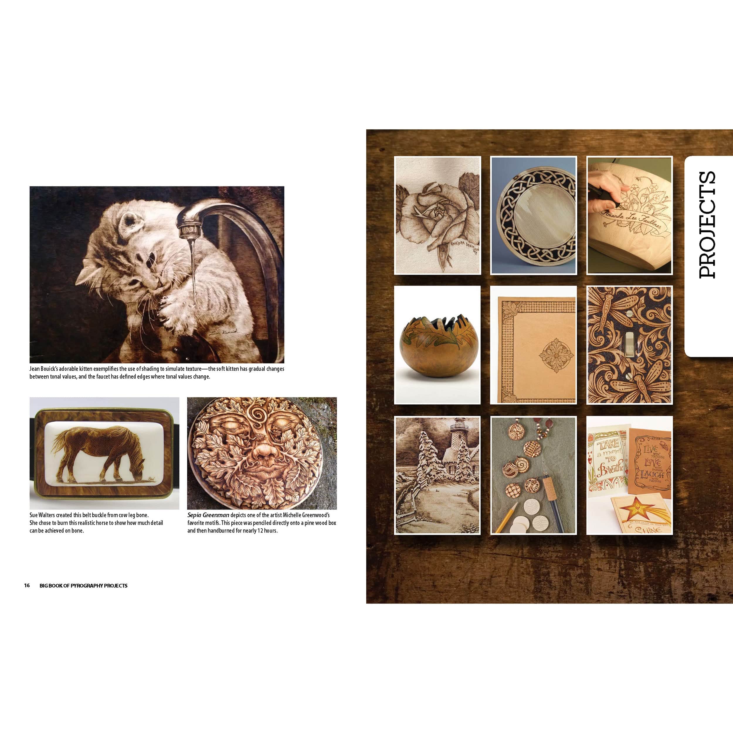 Big Book of Pyrography Projects - Image 4