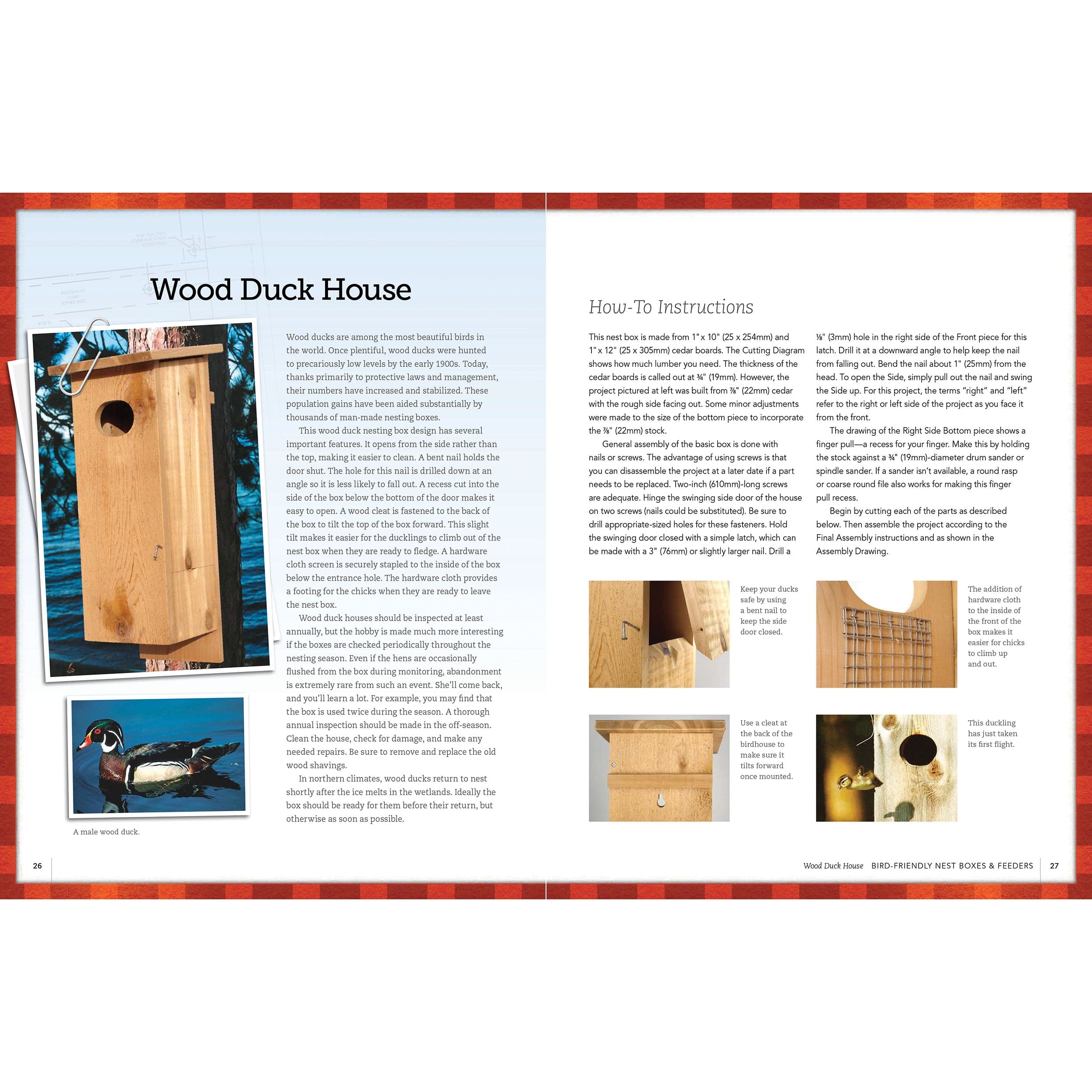 Bird-Friendly Nest Boxes and Feeders - Image 4