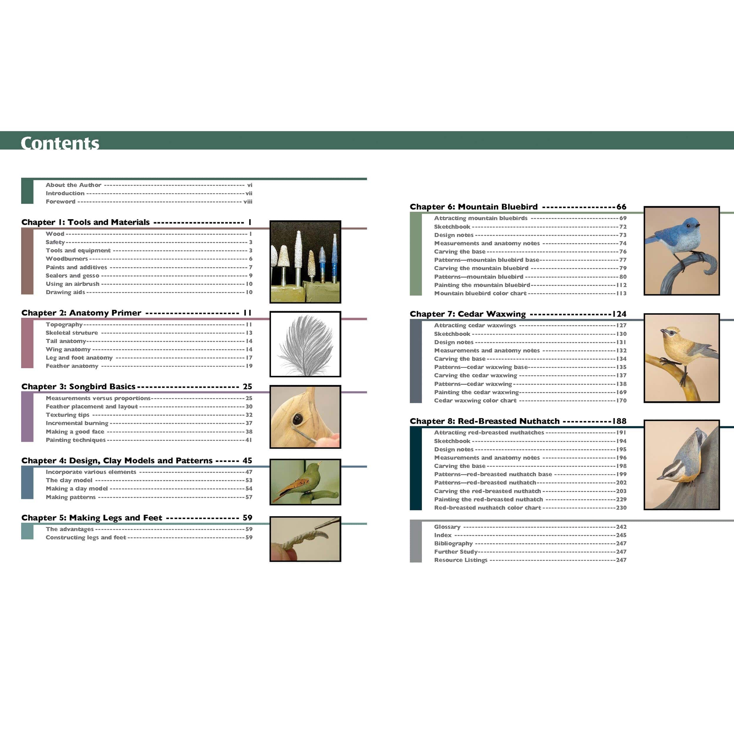 Carving Award-Winning Songbirds - Image 3