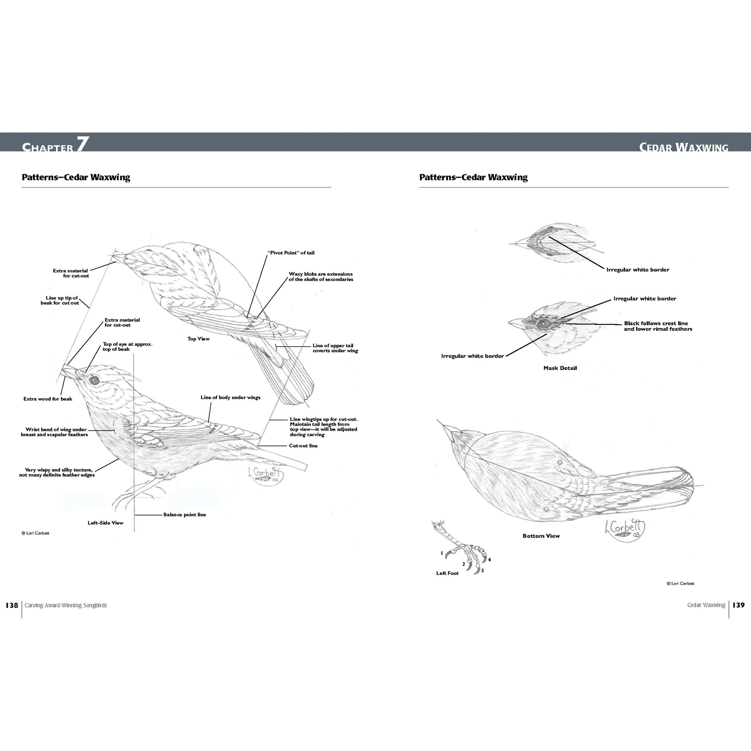 Carving Award-Winning Songbirds - Image 5