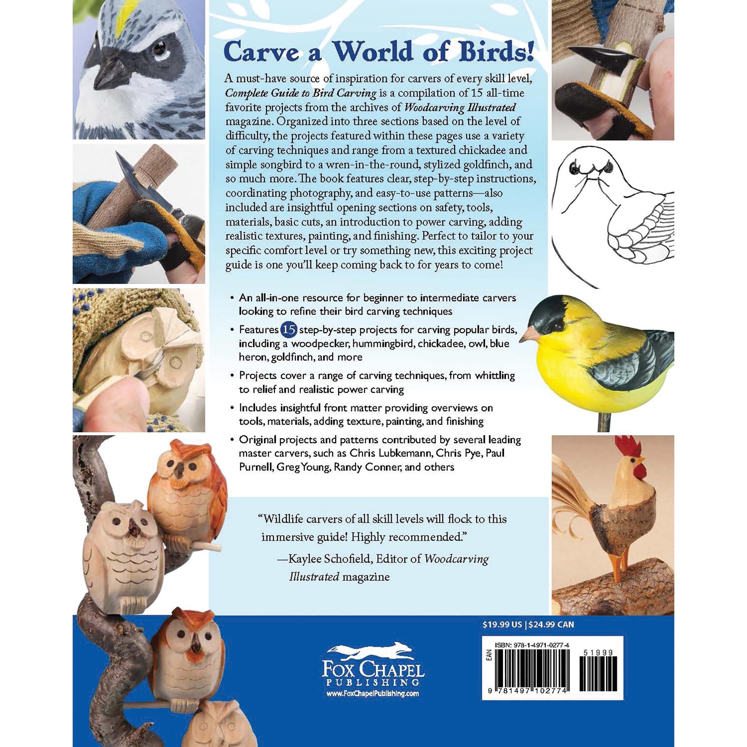 Complete Guide to Bird Carving - 15 Projects - Image 6