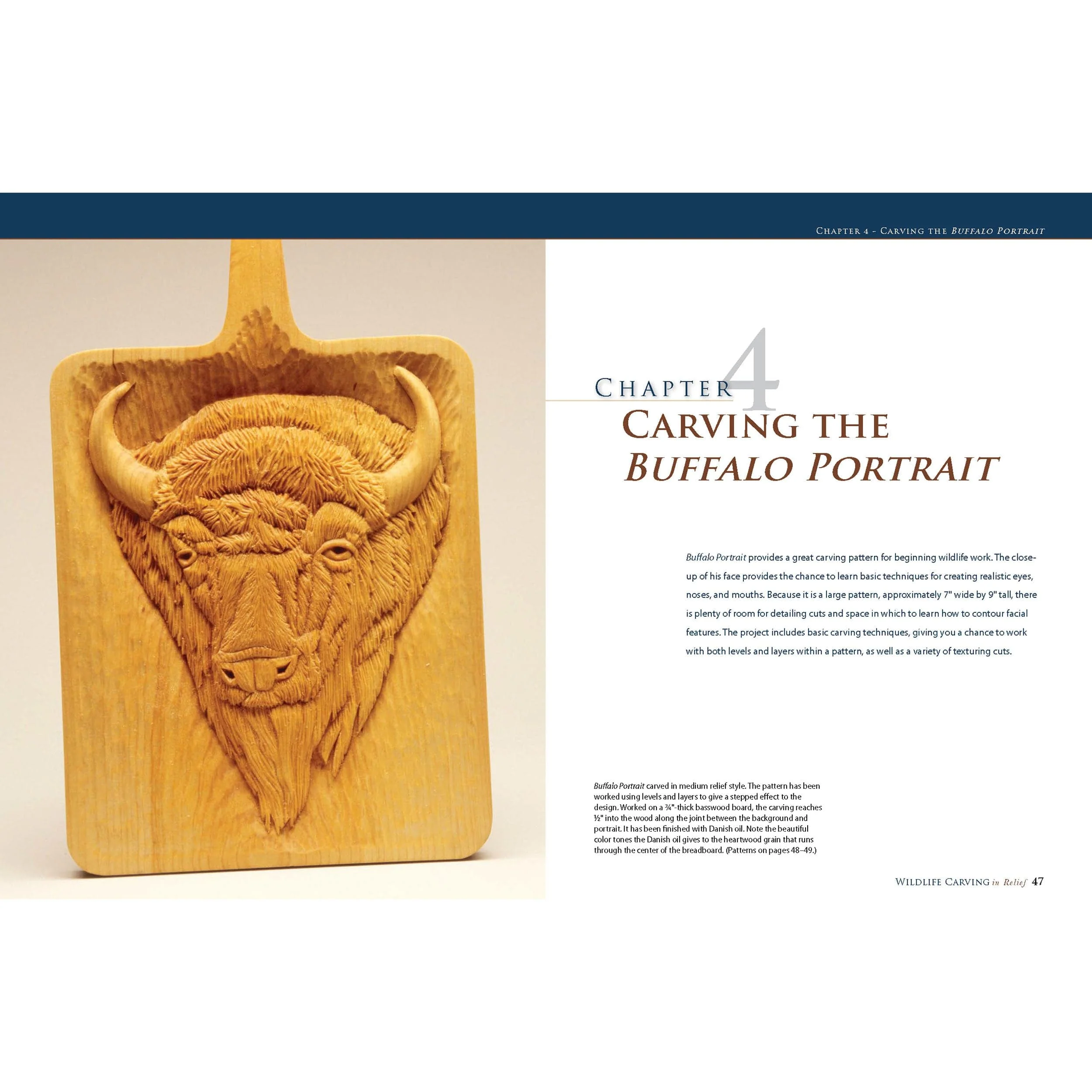 Wildlife Carving in Relief, 2nd Edition Revised and Expanded - Image 5