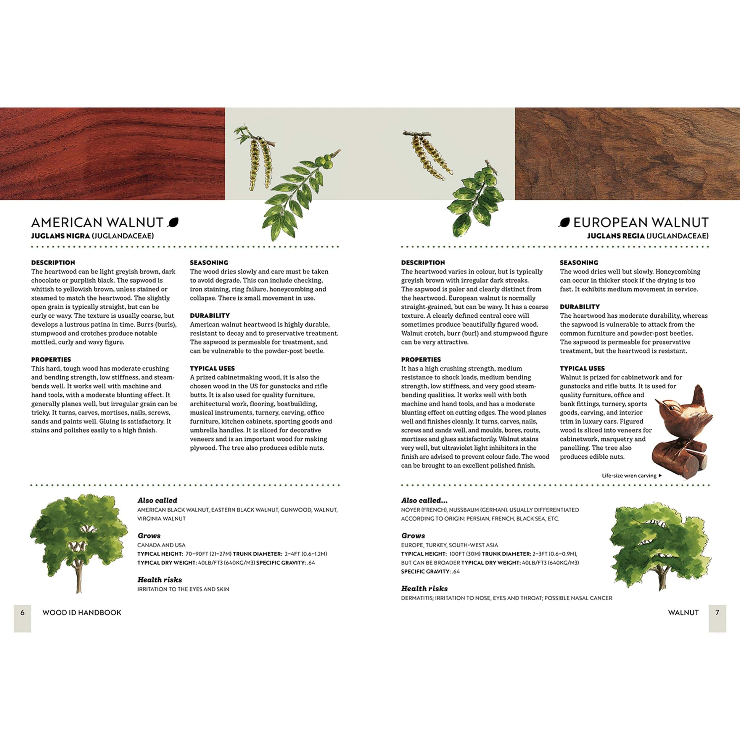 Wood ID Handbook - Image 4