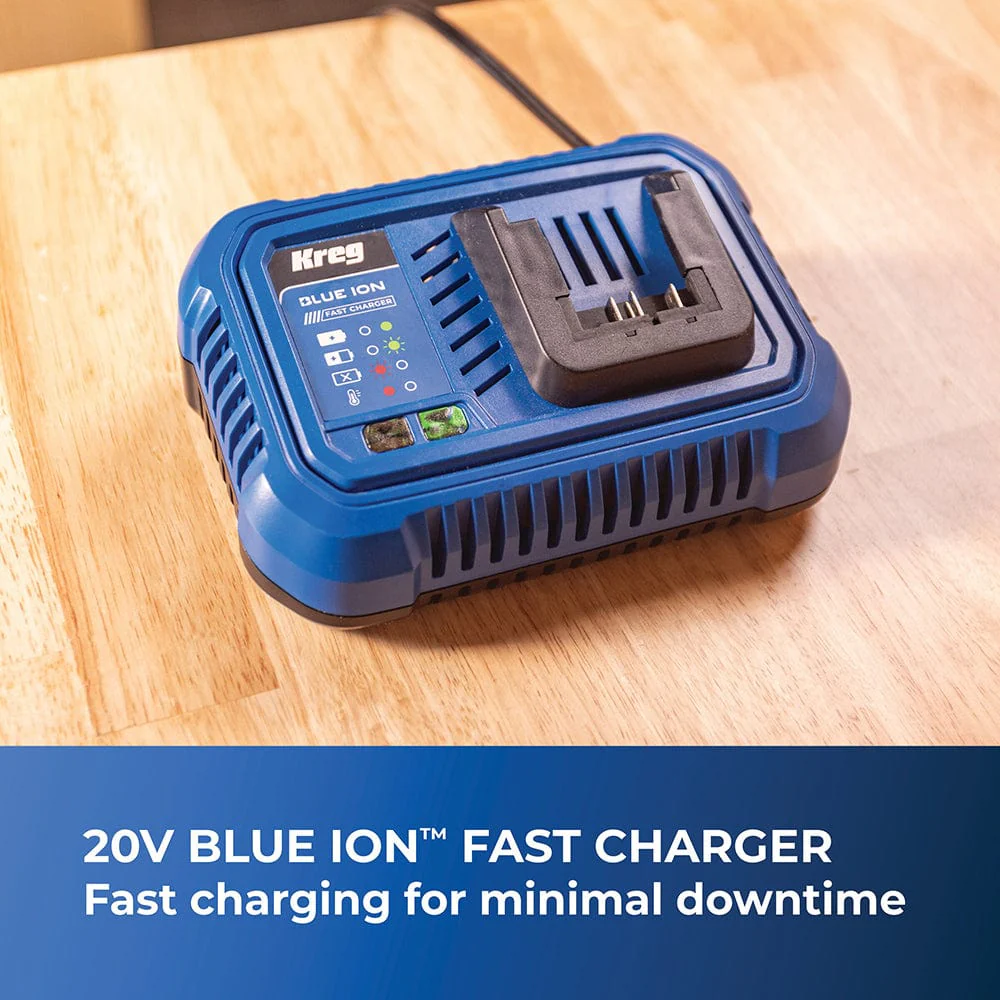 Blue Ion Fast Charger - 20V - Image 3