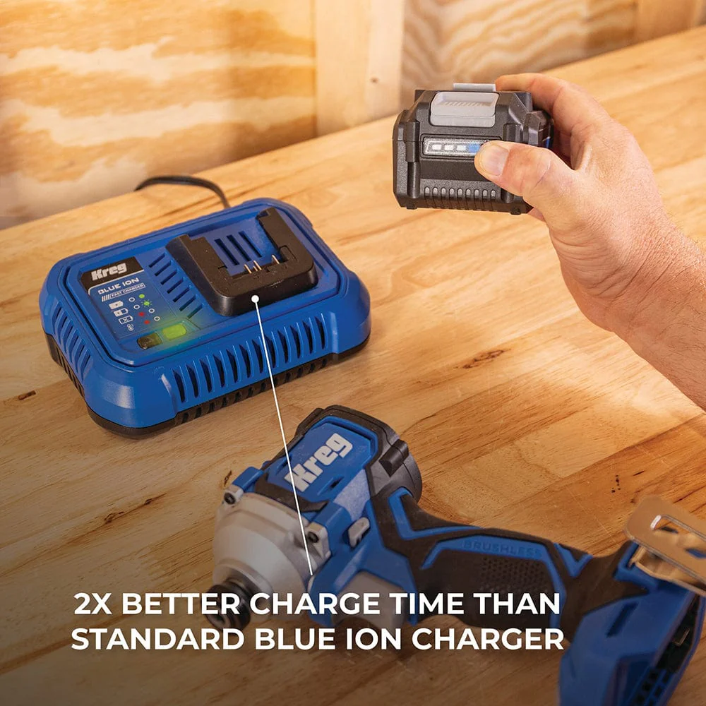 Blue Ion Fast Charger - 20V - Image 4