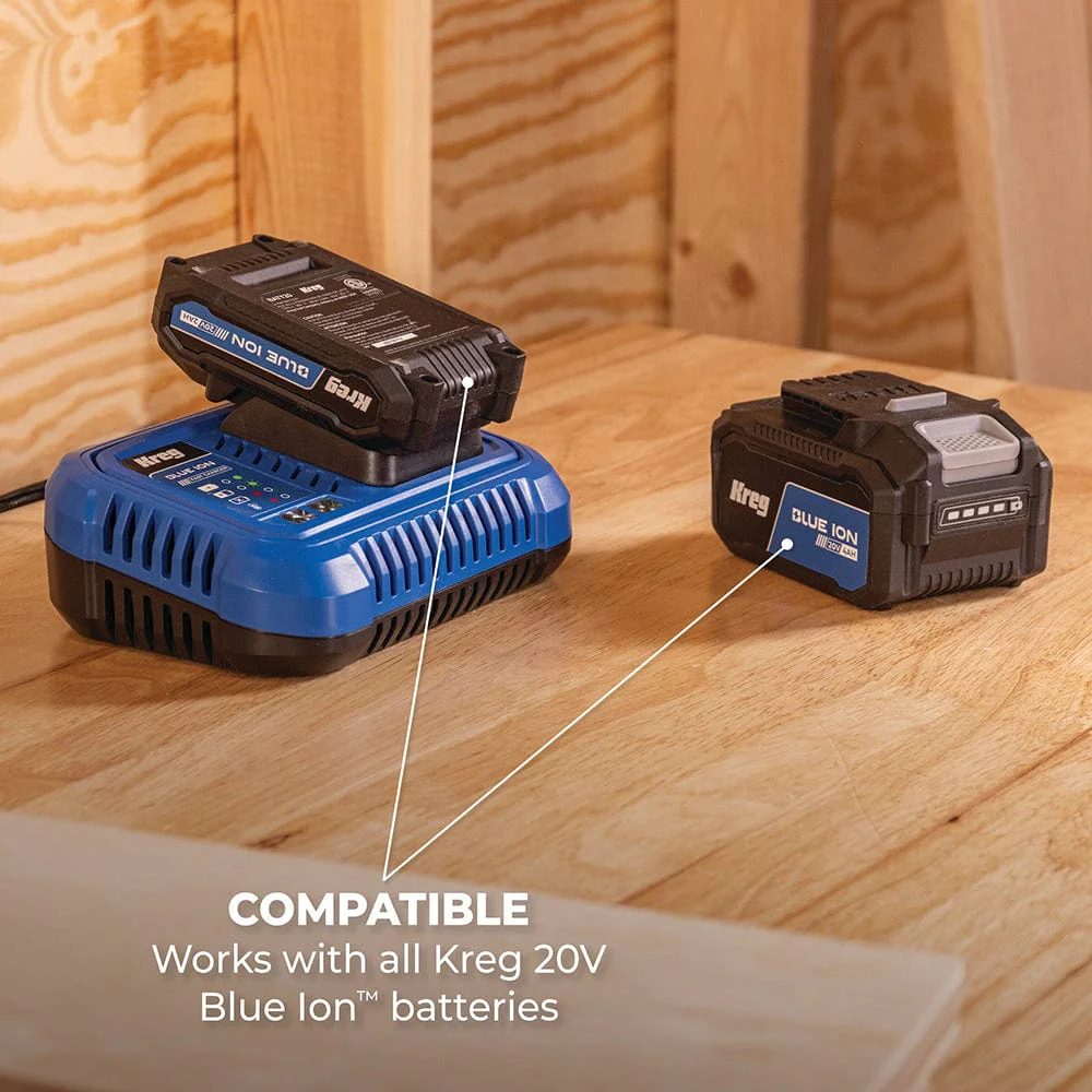 Blue Ion Fast Charger - 20V - Image 7