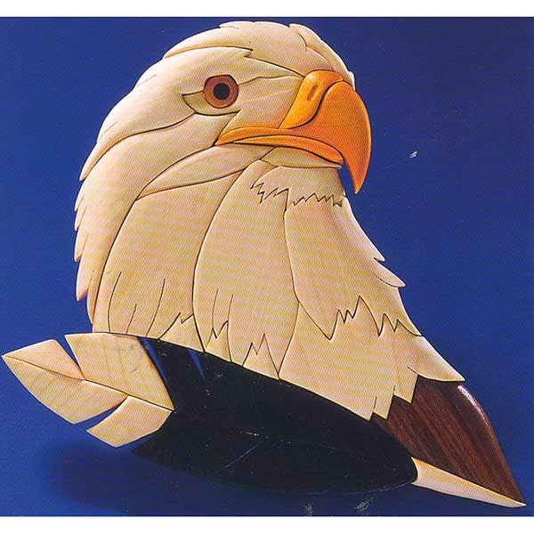 Eagles Gaze Intarsia Pattern