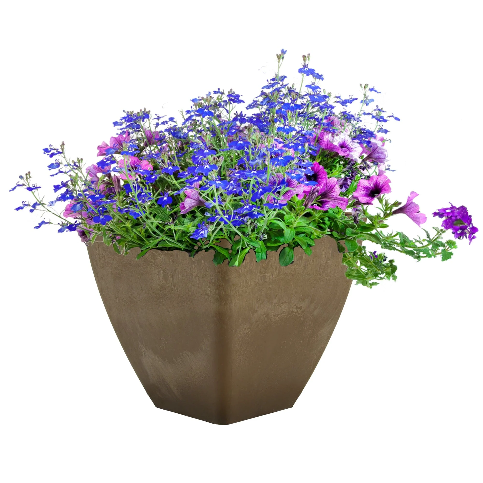 12" Square Garden Planter Oak - Image 3