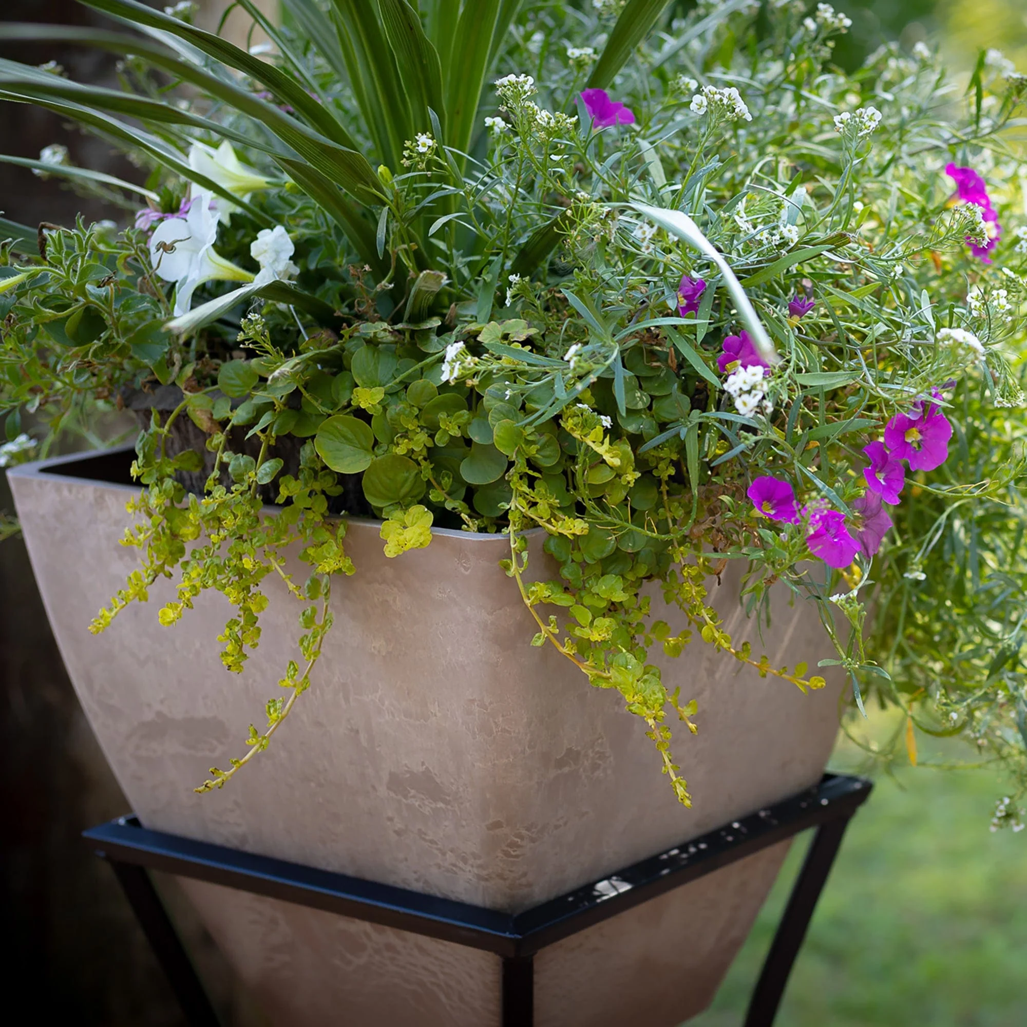 12" Square Garden Planter with Wrought Iron Stand Oak - Image 6