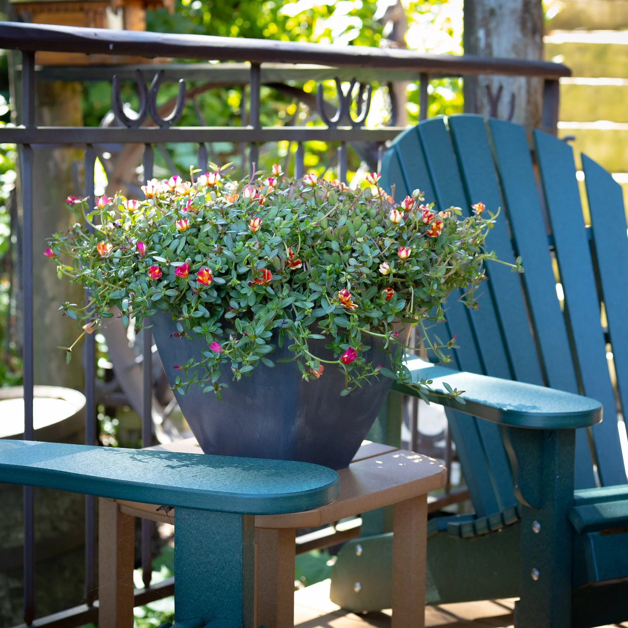 20" Square Garden Planter Graphite - Image 5