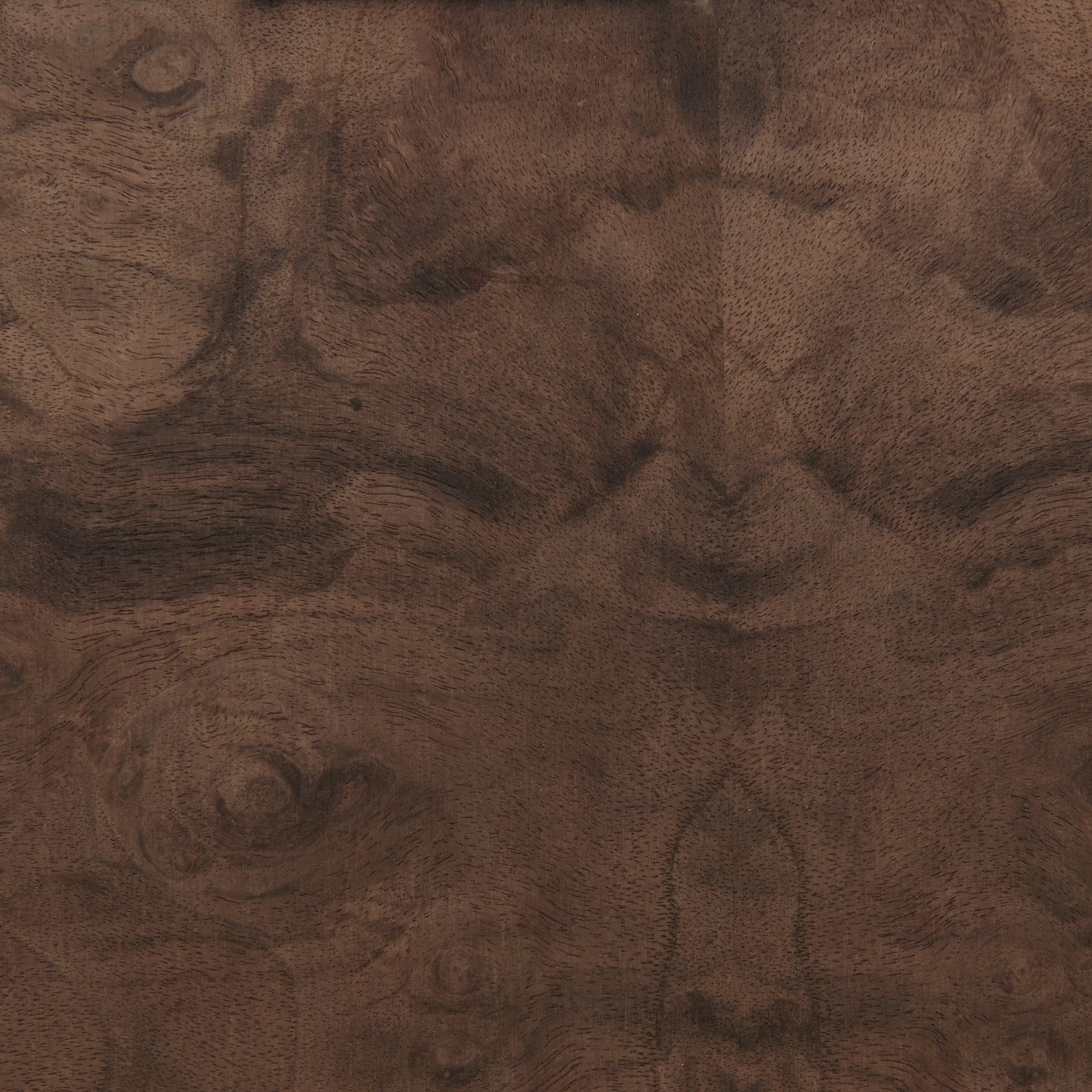 Burl Wood Veneer Sheet - 4' x 8' - Image 16