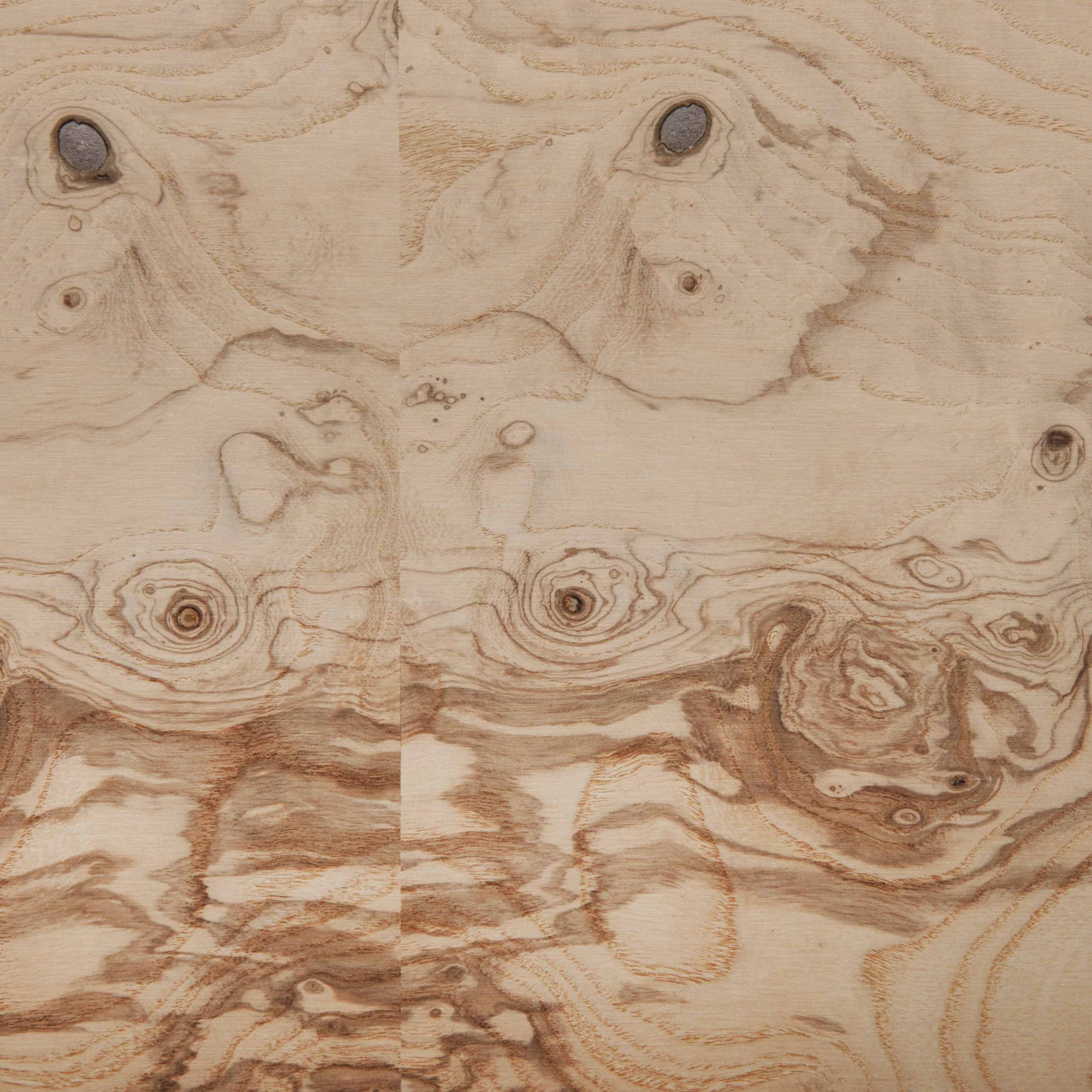 Burl Wood Veneer Sheet - 4' x 8' - Image 2