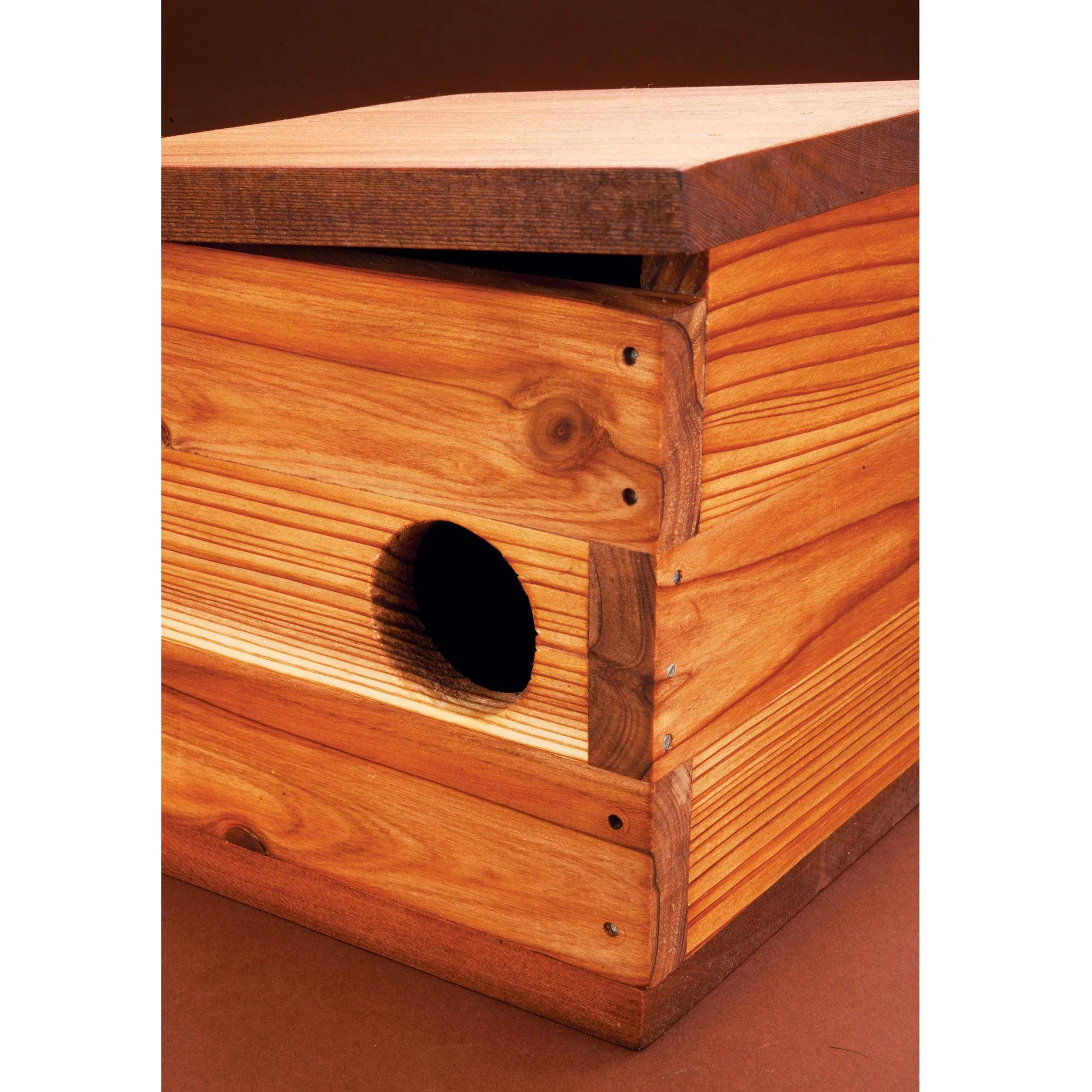Mid-Century Modern Birdhouse Kit - Image 5