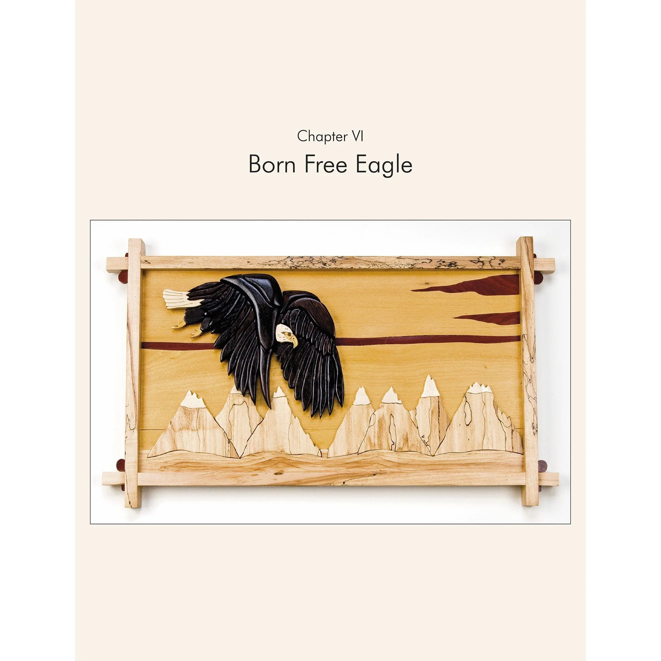 American Bald Eagles in Intarsia: Volume 1 - Patriotic - Image 2
