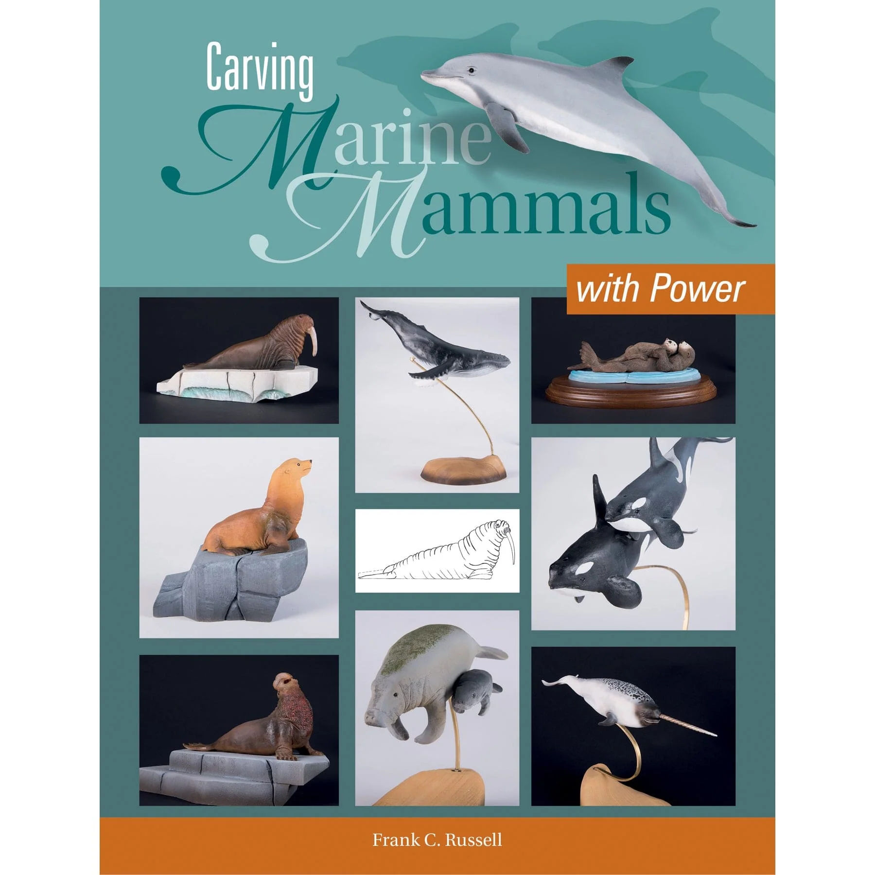Carving Marine Mammals