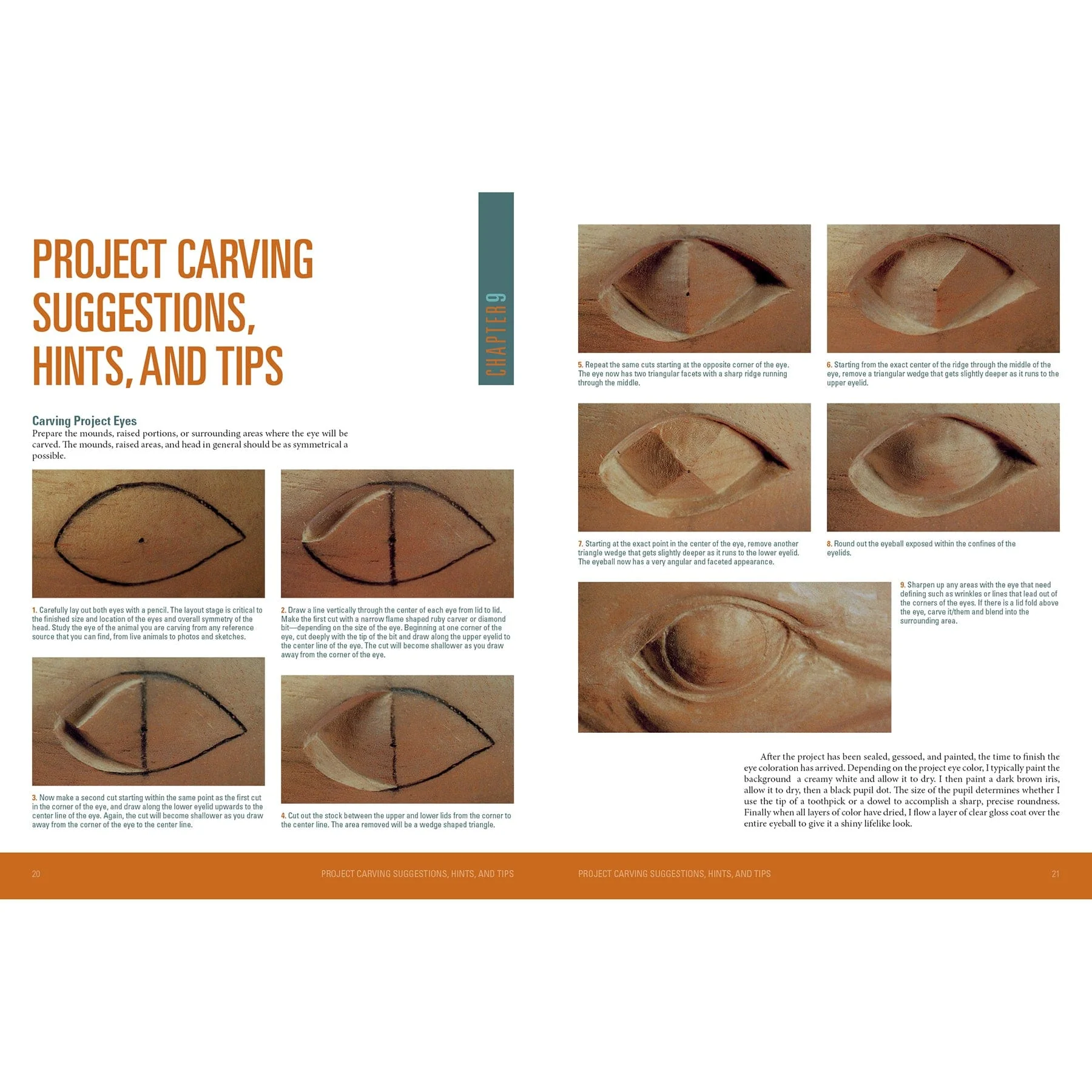 Carving Marine Mammals - Image 4