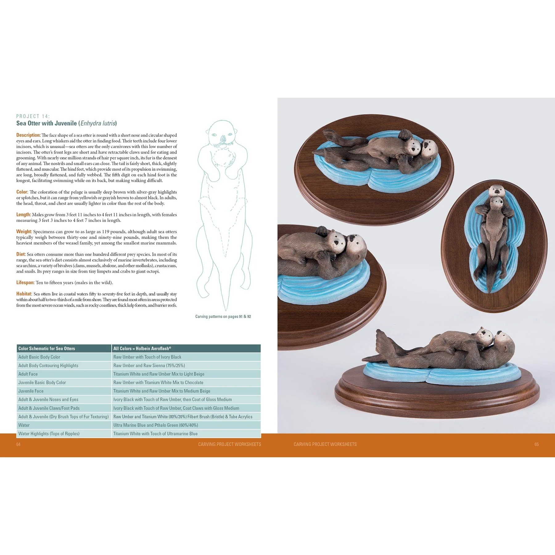 Carving Marine Mammals - Image 6
