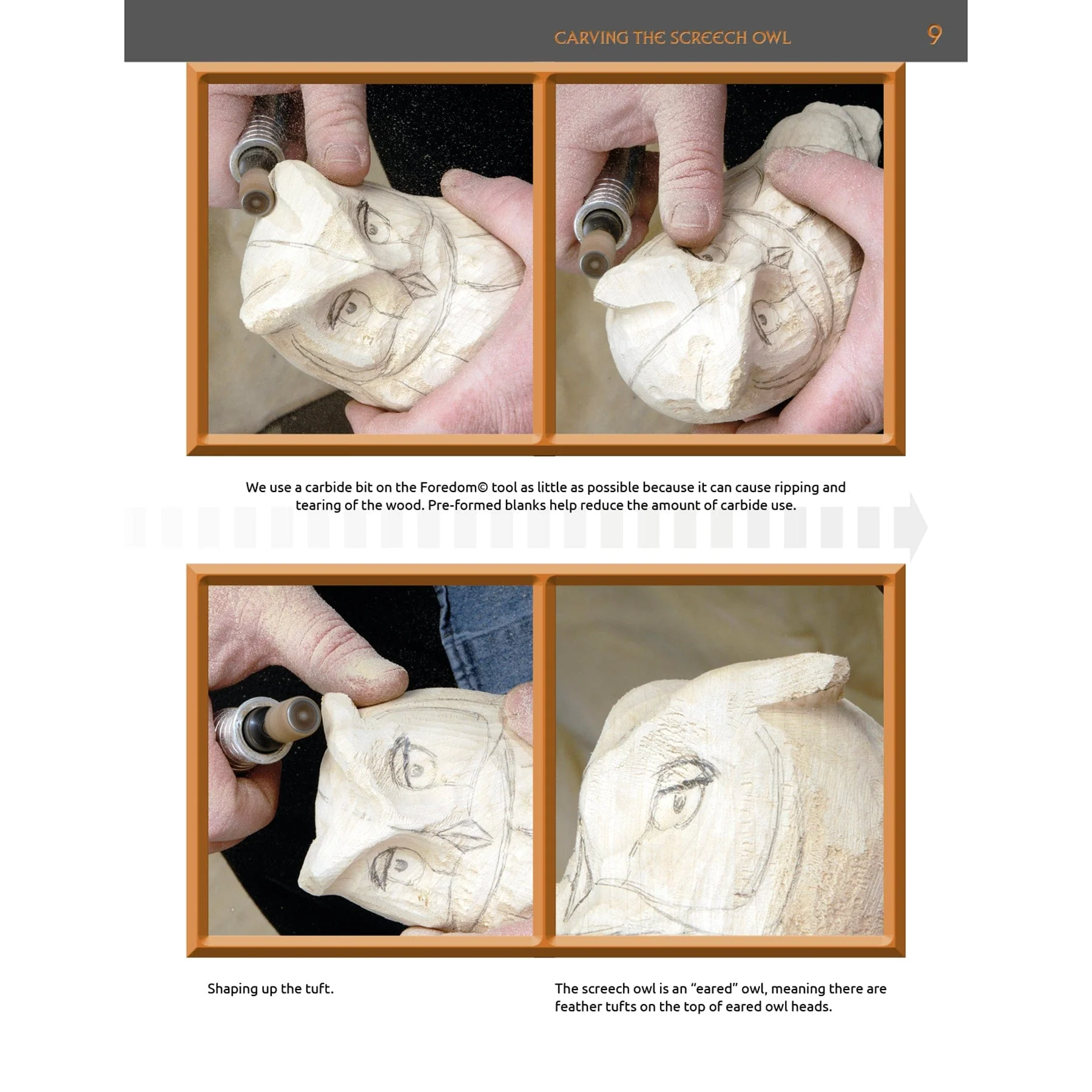 Carving the Screech Owl - Image 2