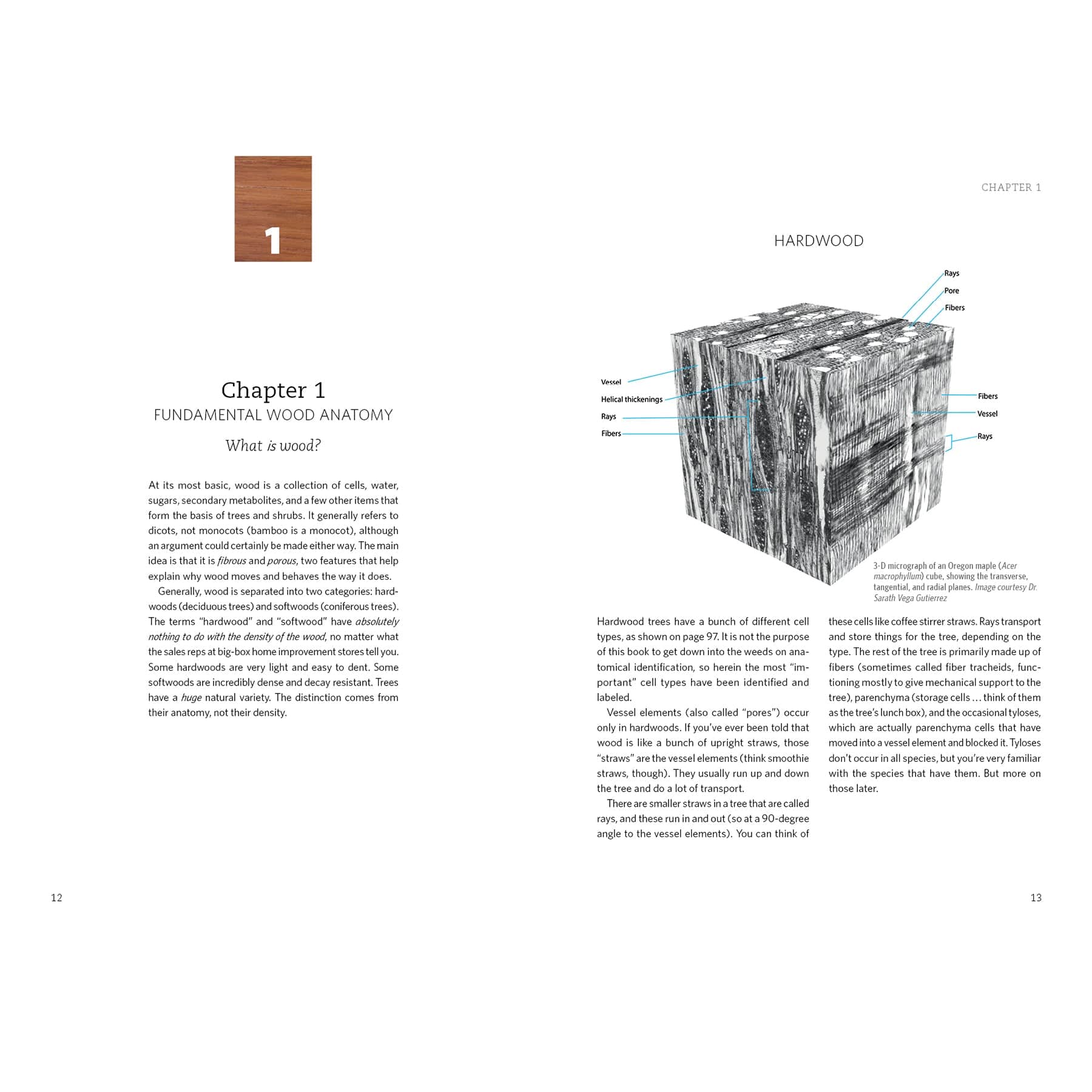 Living with Wood - Image 3