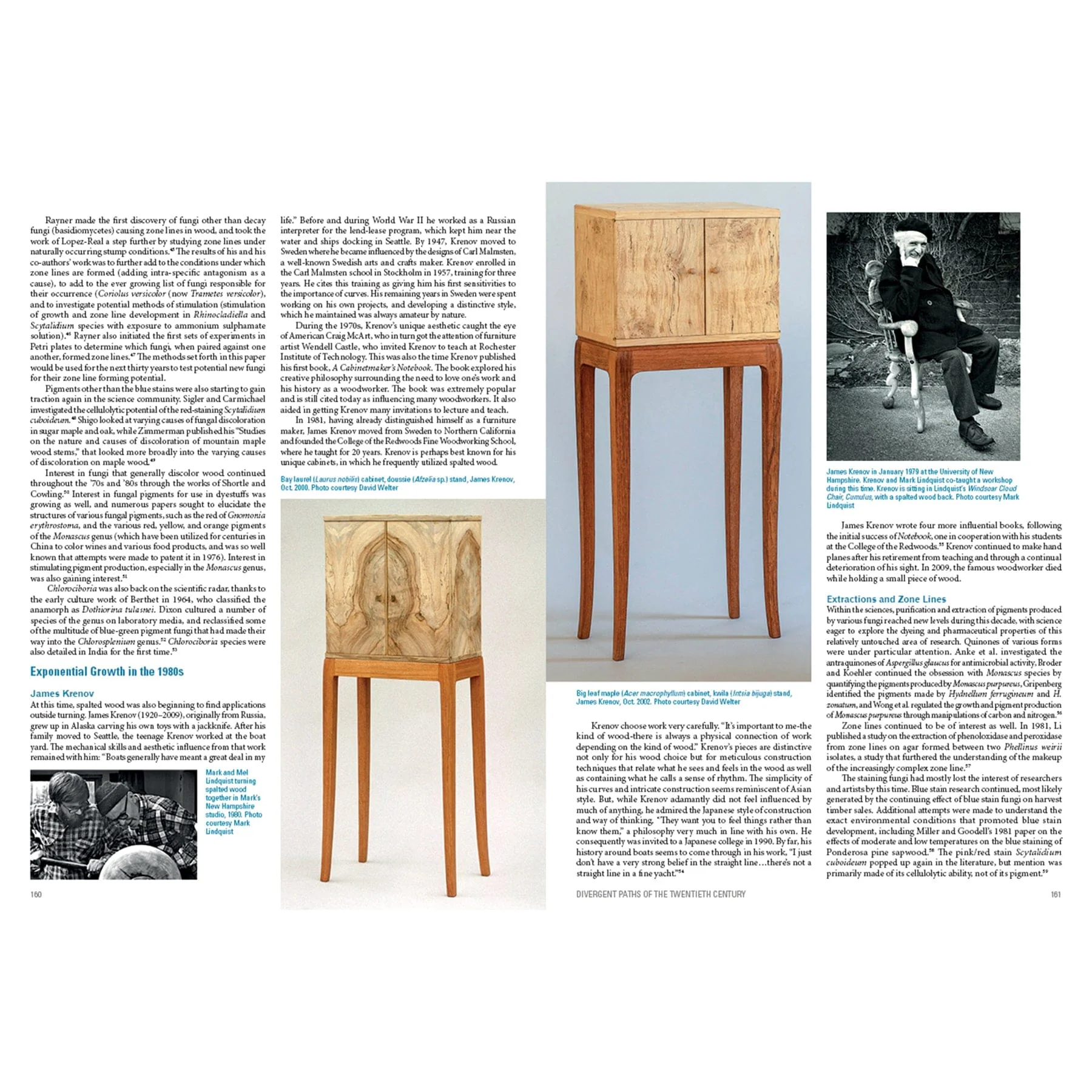 Spalted Wood: The History, Science, and Art of a Unique Material - Image 9