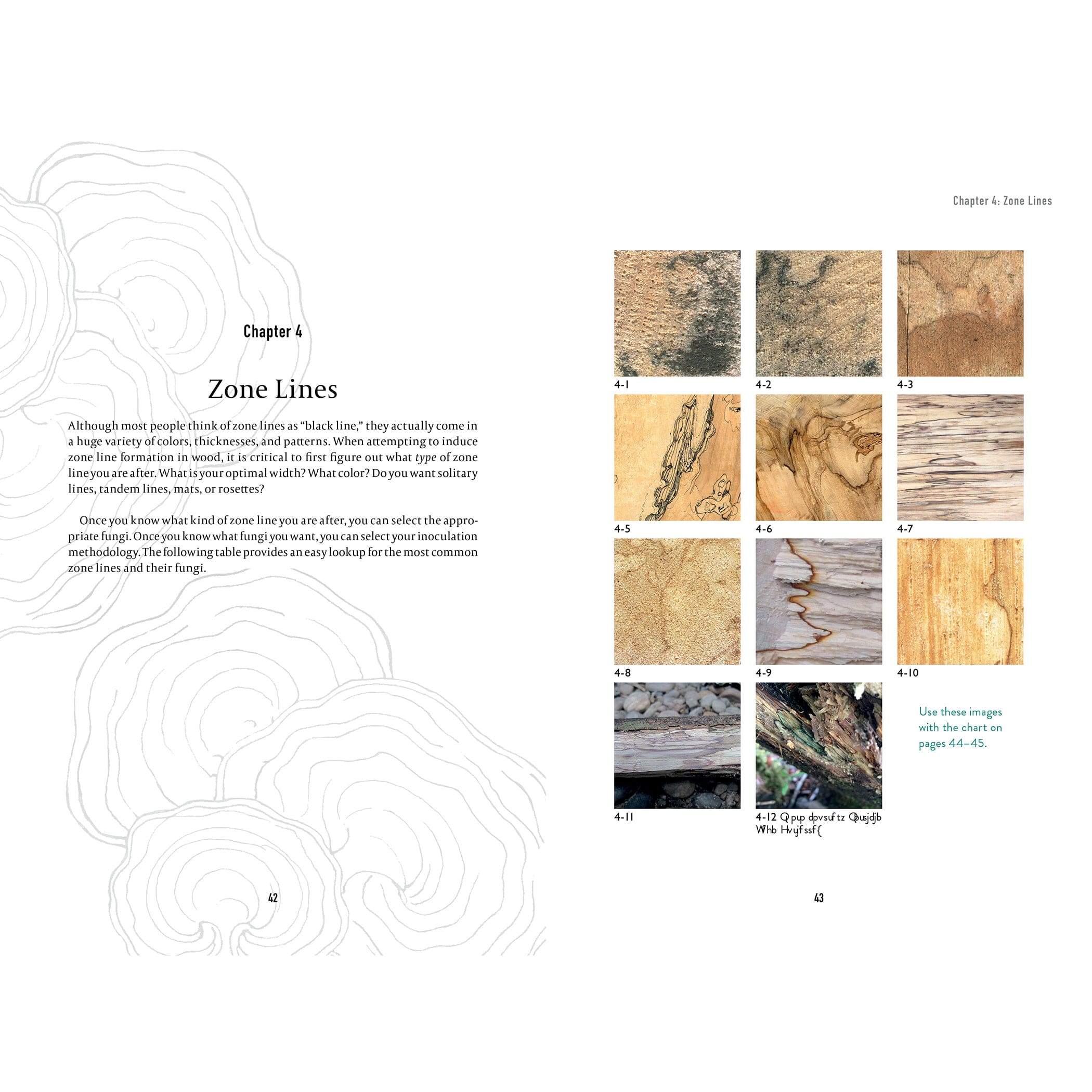 Spalting 101 - Image 4