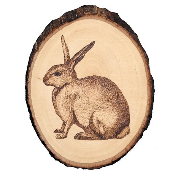 Basswood Country Rounds for Wood Burning, Hot Stamping & Carving - Medium - Image 3