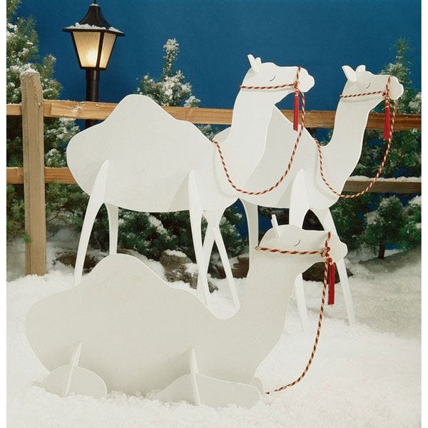 Woodworking Project Paper Plan to Build Camels