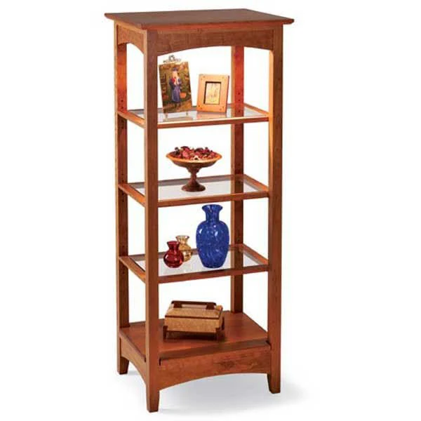 Woodworking Project Paper Plan to Build Lighted Showcase