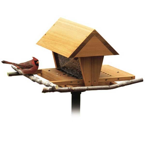 Woodworking Project Paper Plan to Build Snack Shop Bird Feeder