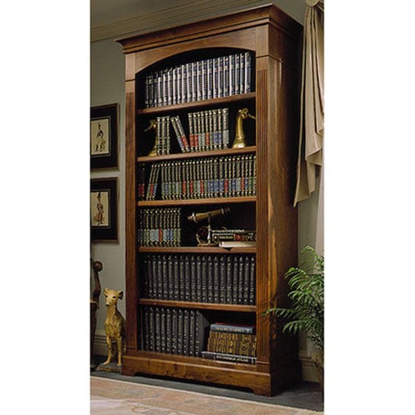 Woodworking Project Paper Plan to Build Towering Tomes Bookcase