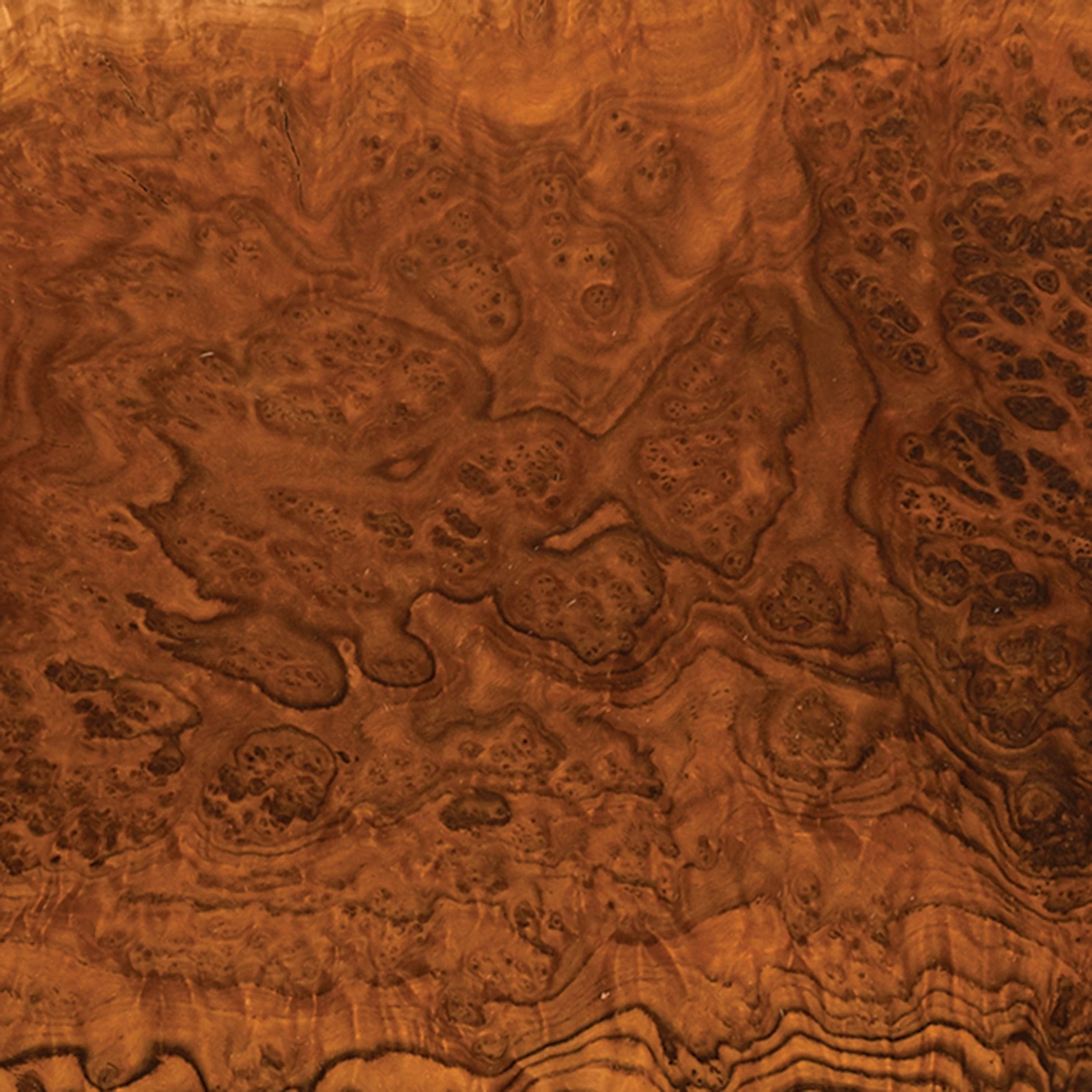 Australian Brown Mallee Burl Turning Blank - 2 kg - 4 kg - Image 2