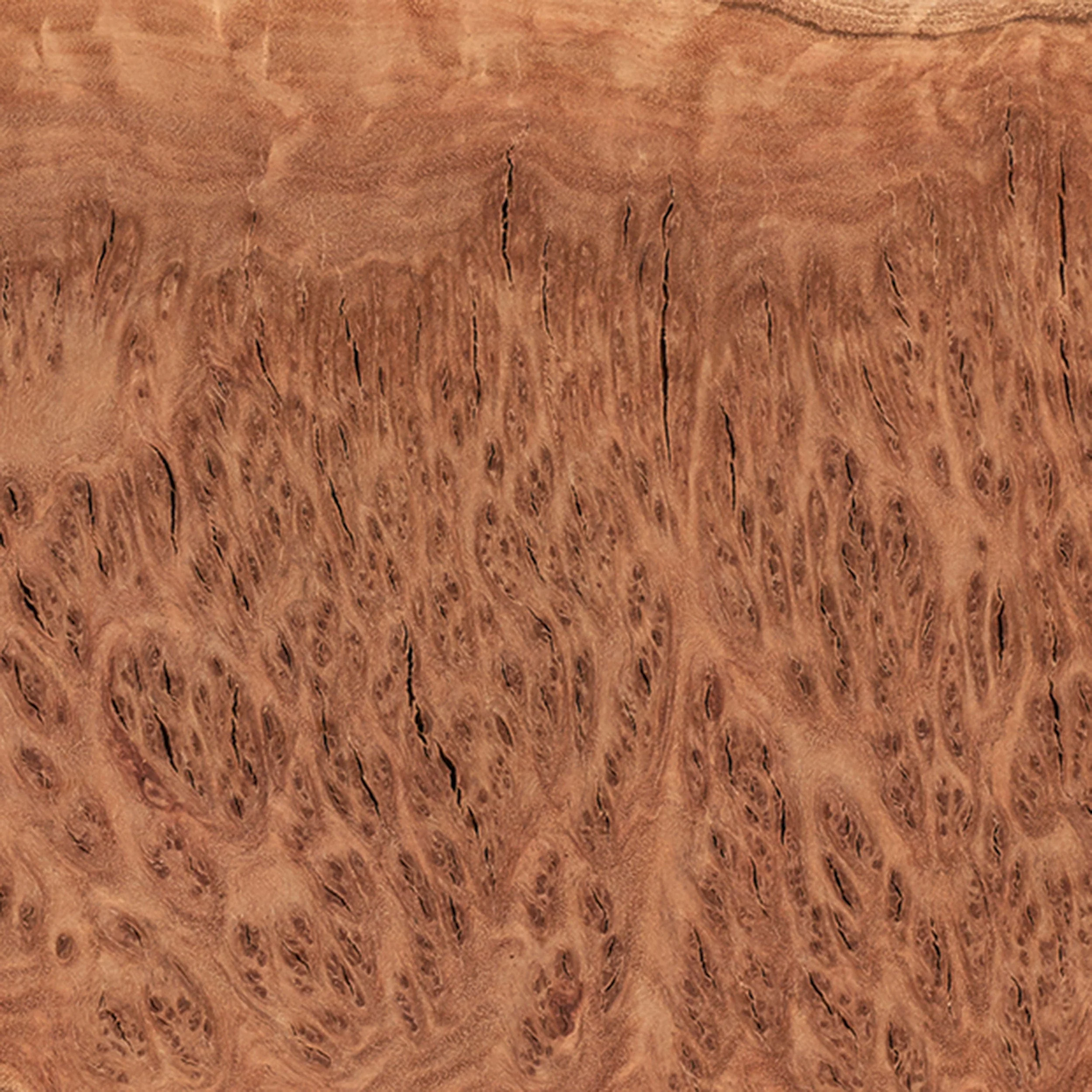 Australian Red Coolibah Burl Turning Blank - 1 kg - 2 kg - Image 2