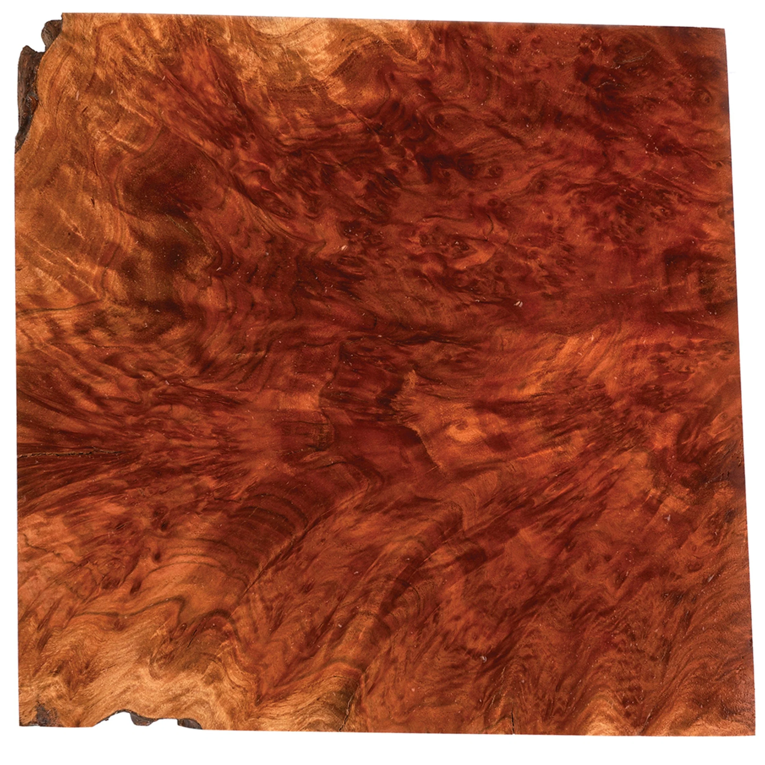 Australian Red Mallee Burl Turning Blank - 2 kg - 4 kg - Image 2