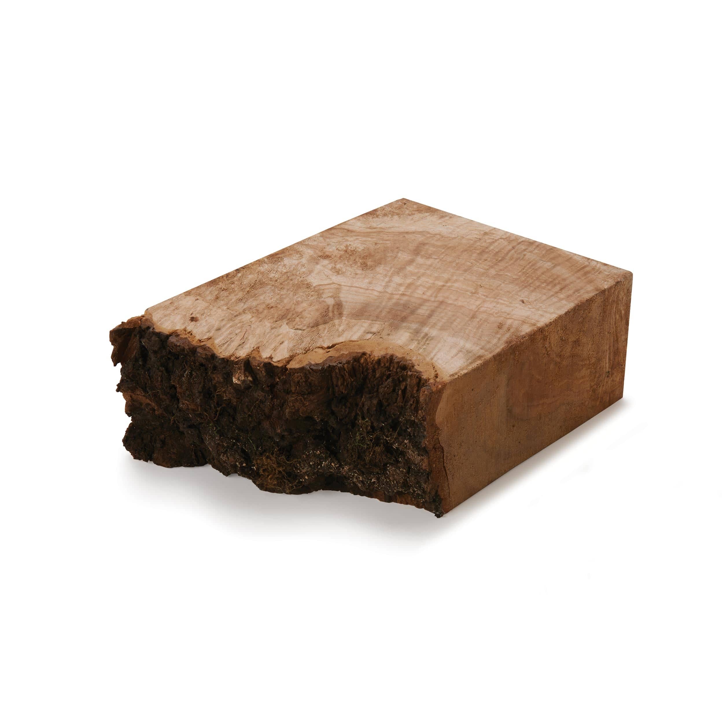 Big Leaf Maple Burl Wood Turning Stock - Image 3