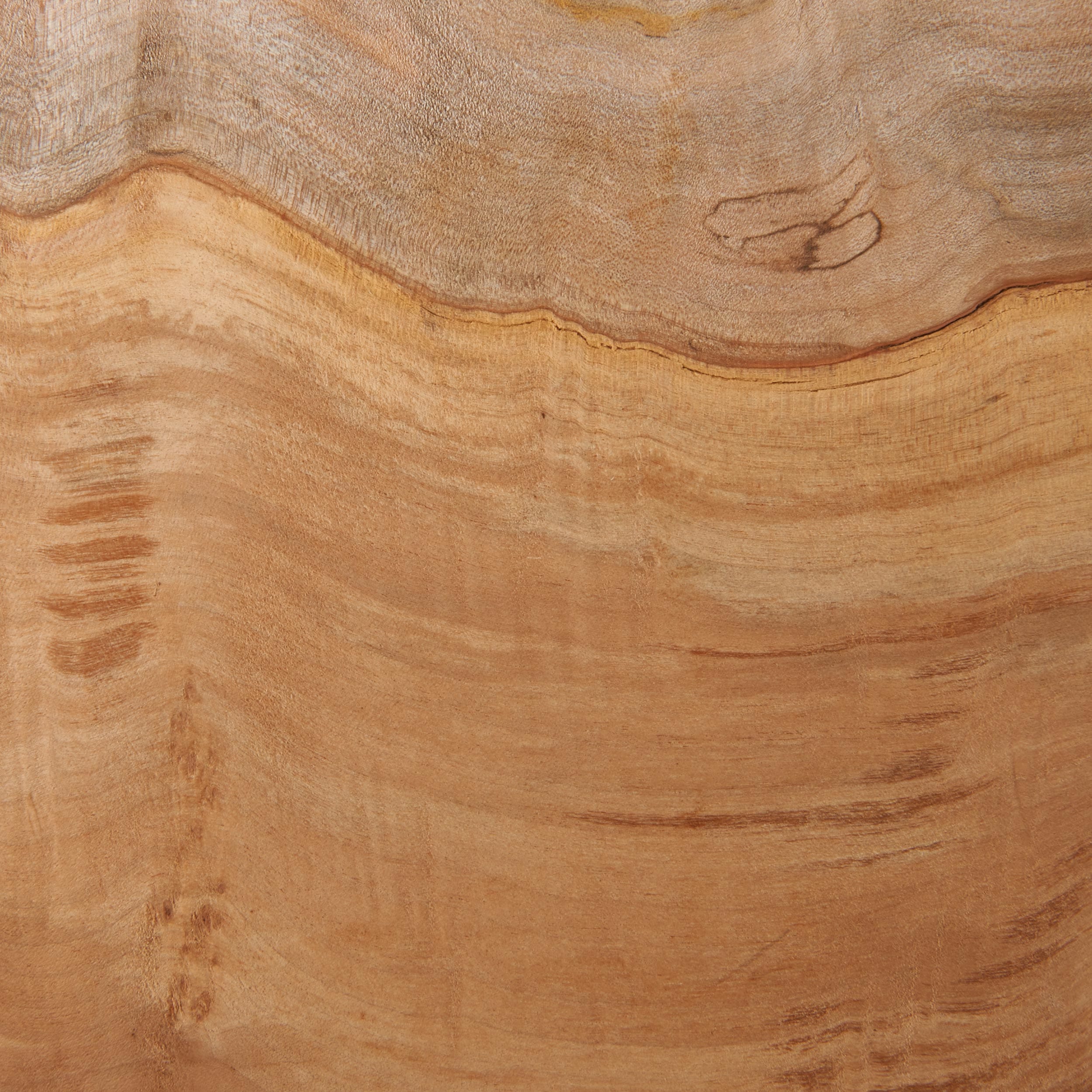 Big Leaf Maple Burl Wood Turning Stock - Image 4