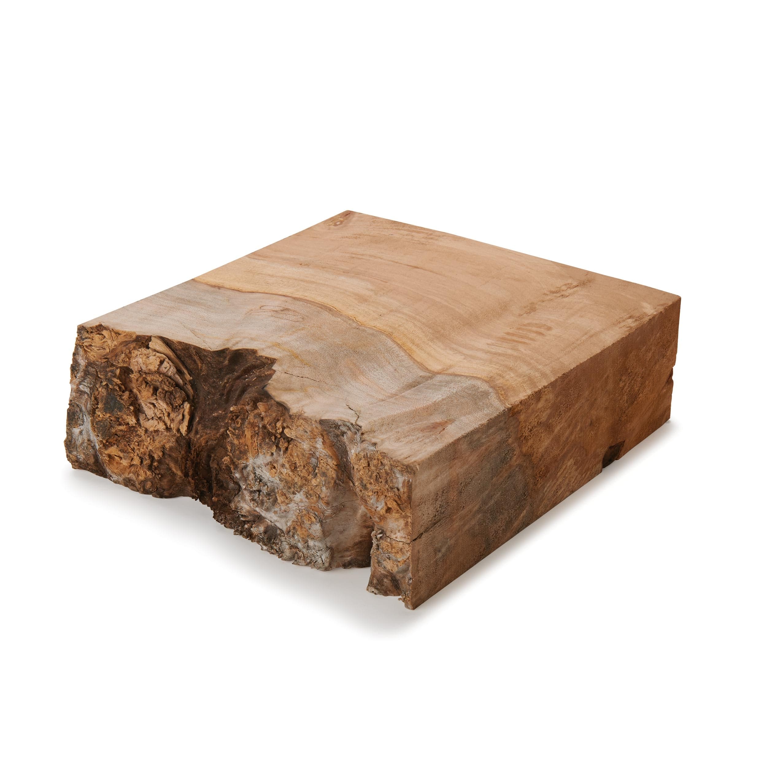 Big Leaf Maple Burl Wood Turning Stock - Image 5