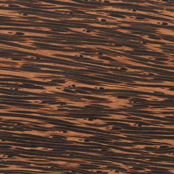 Black Palm Dimensional Lumber - Image 2